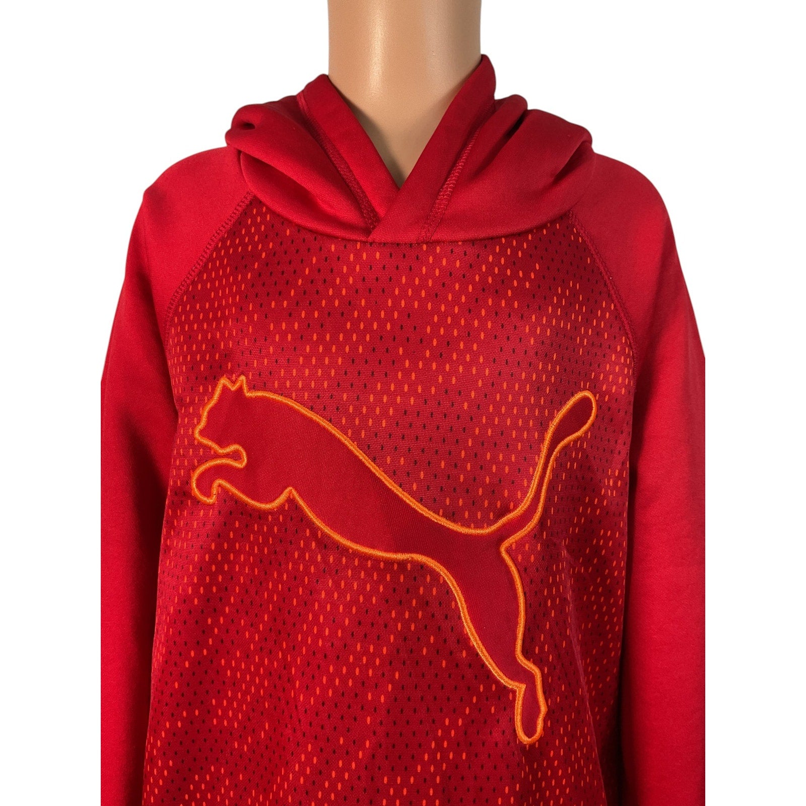 Sudadero Niño M (Puma)