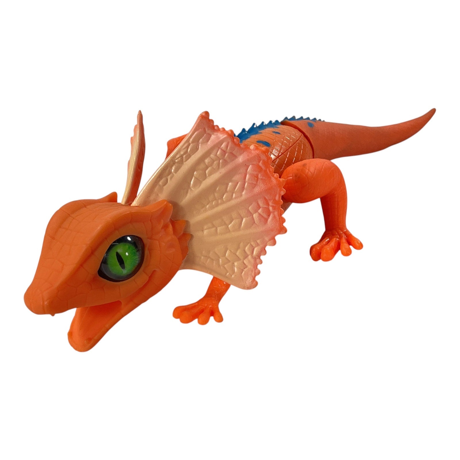 Lagarto interactivo