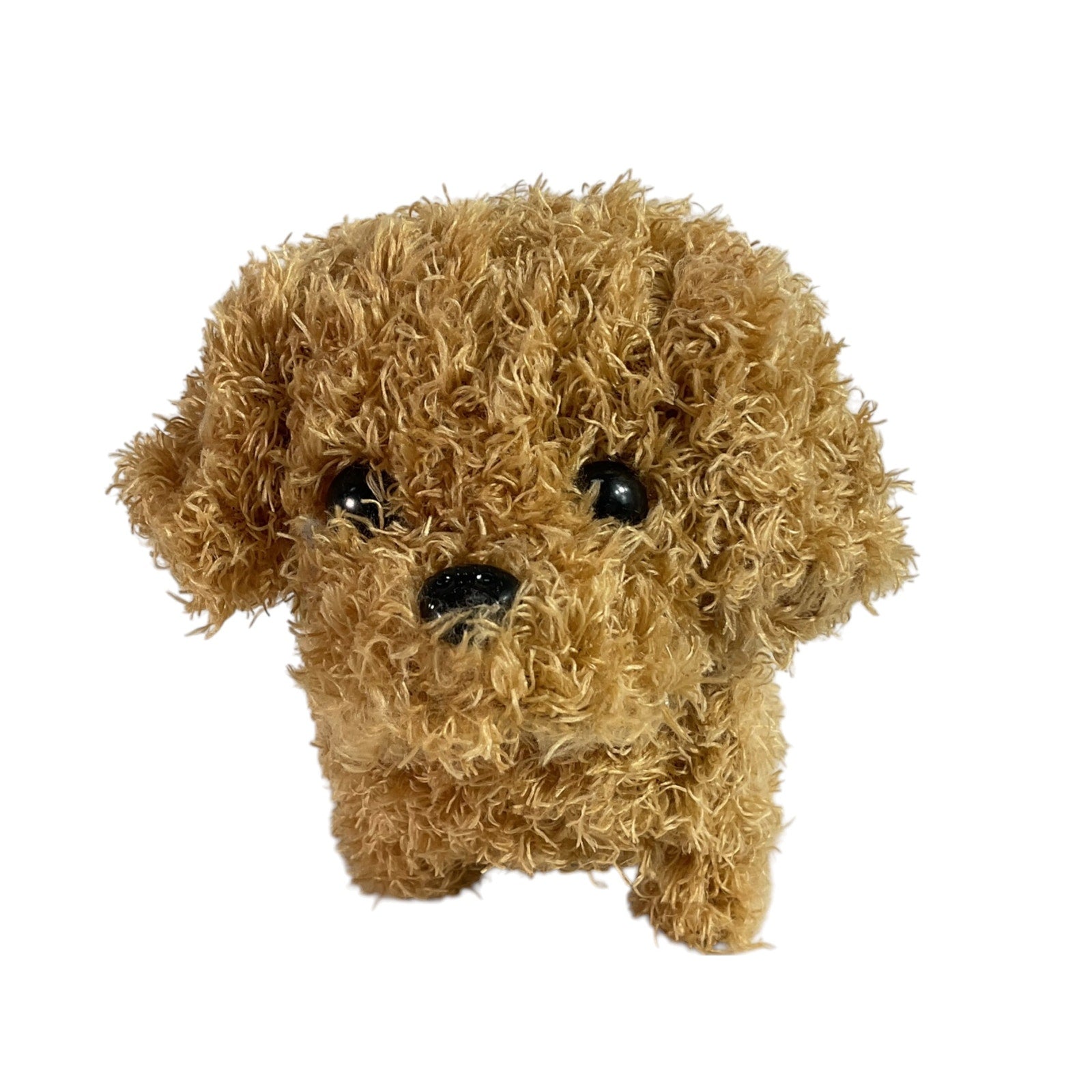 Perrito
