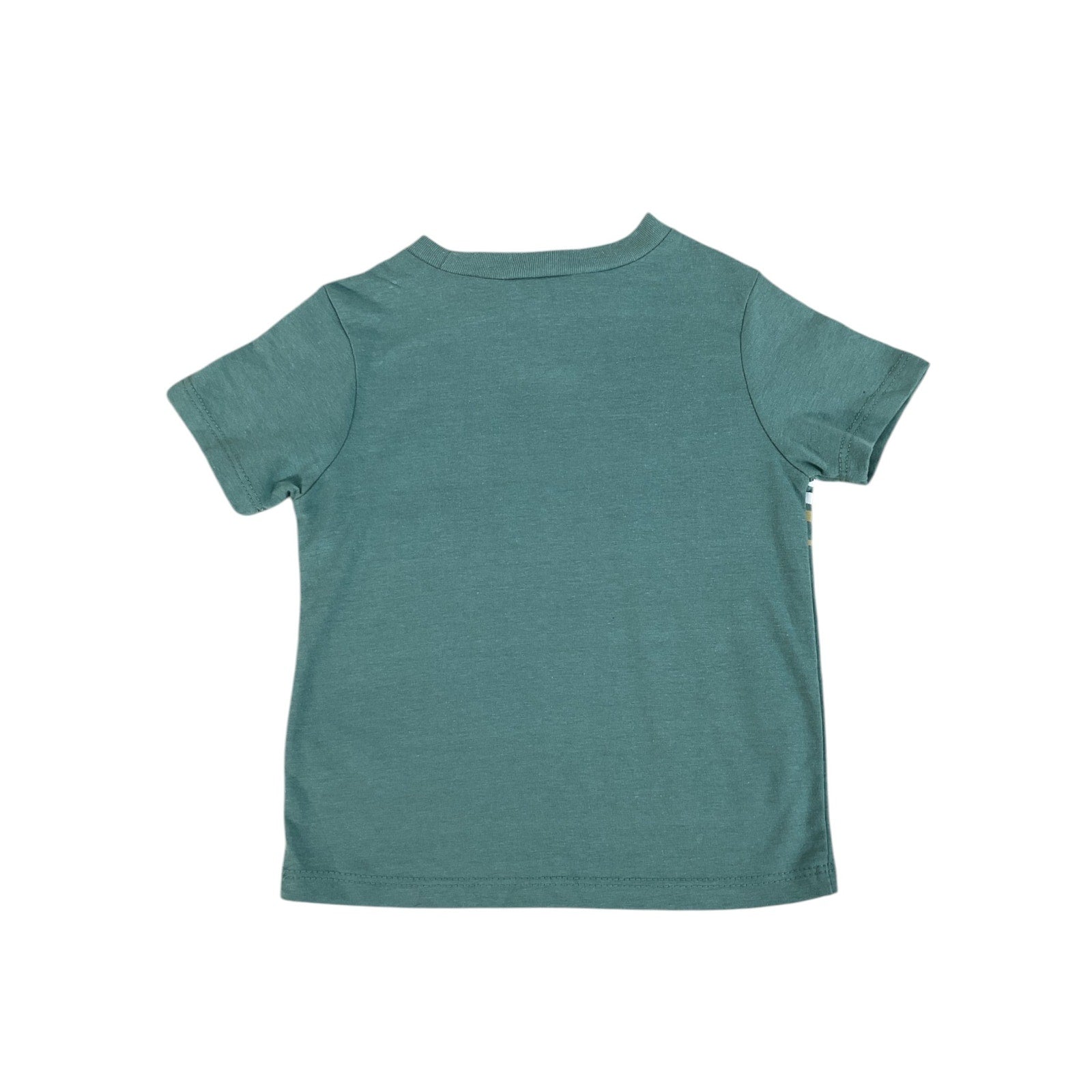 Camisa Niño 2T (Perry Ellis)