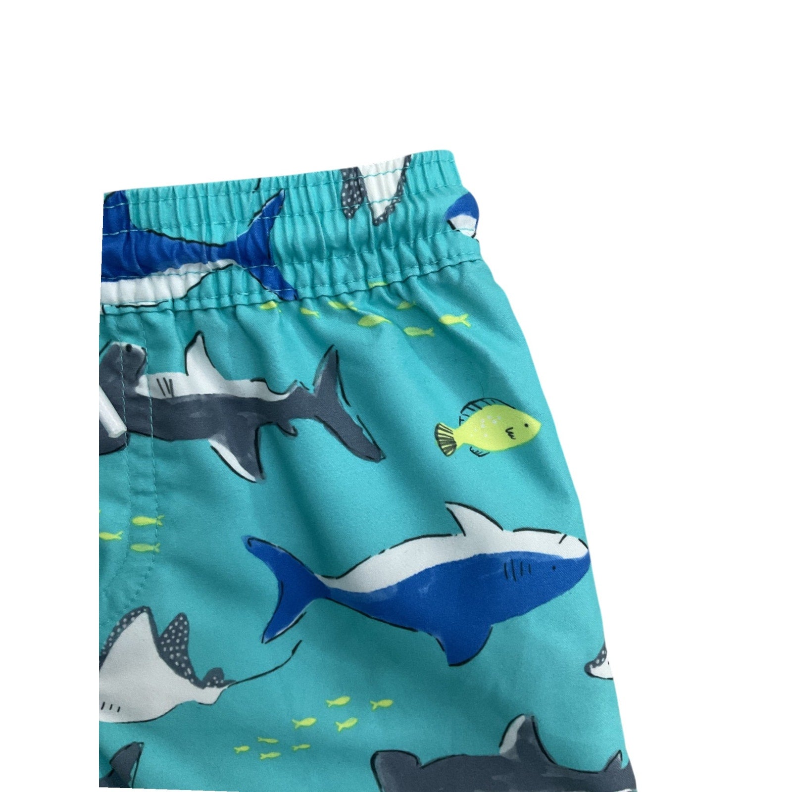 Short 12M (Carter's)