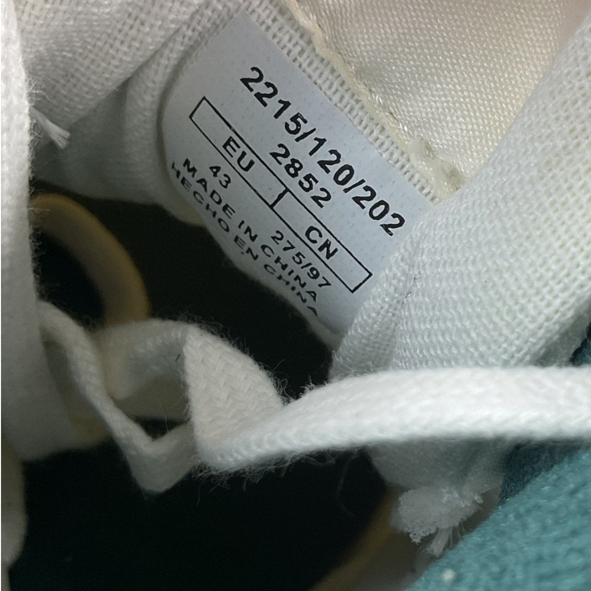 Zapato 10 (Zara)
