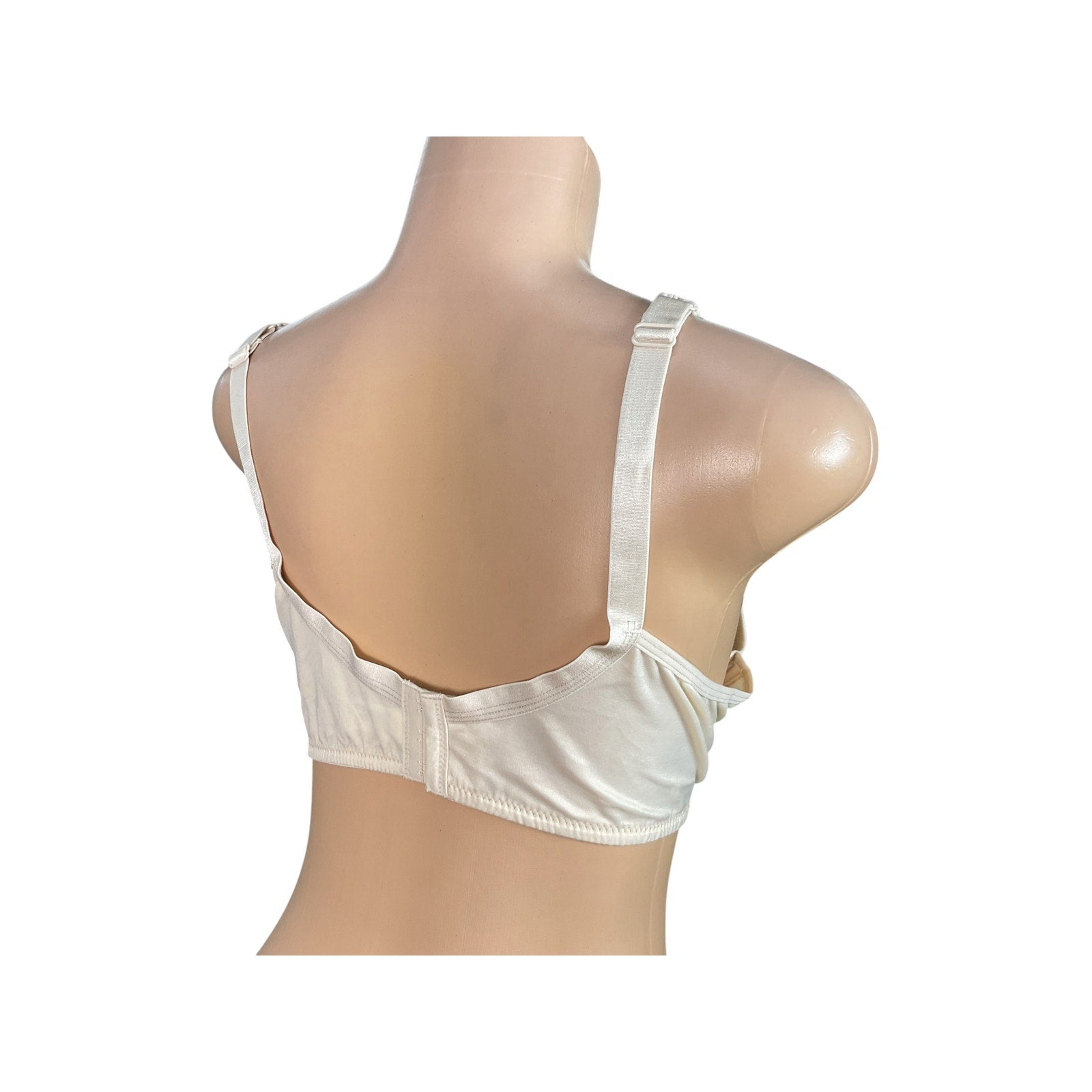 Brasier 46C (AvenueBody)