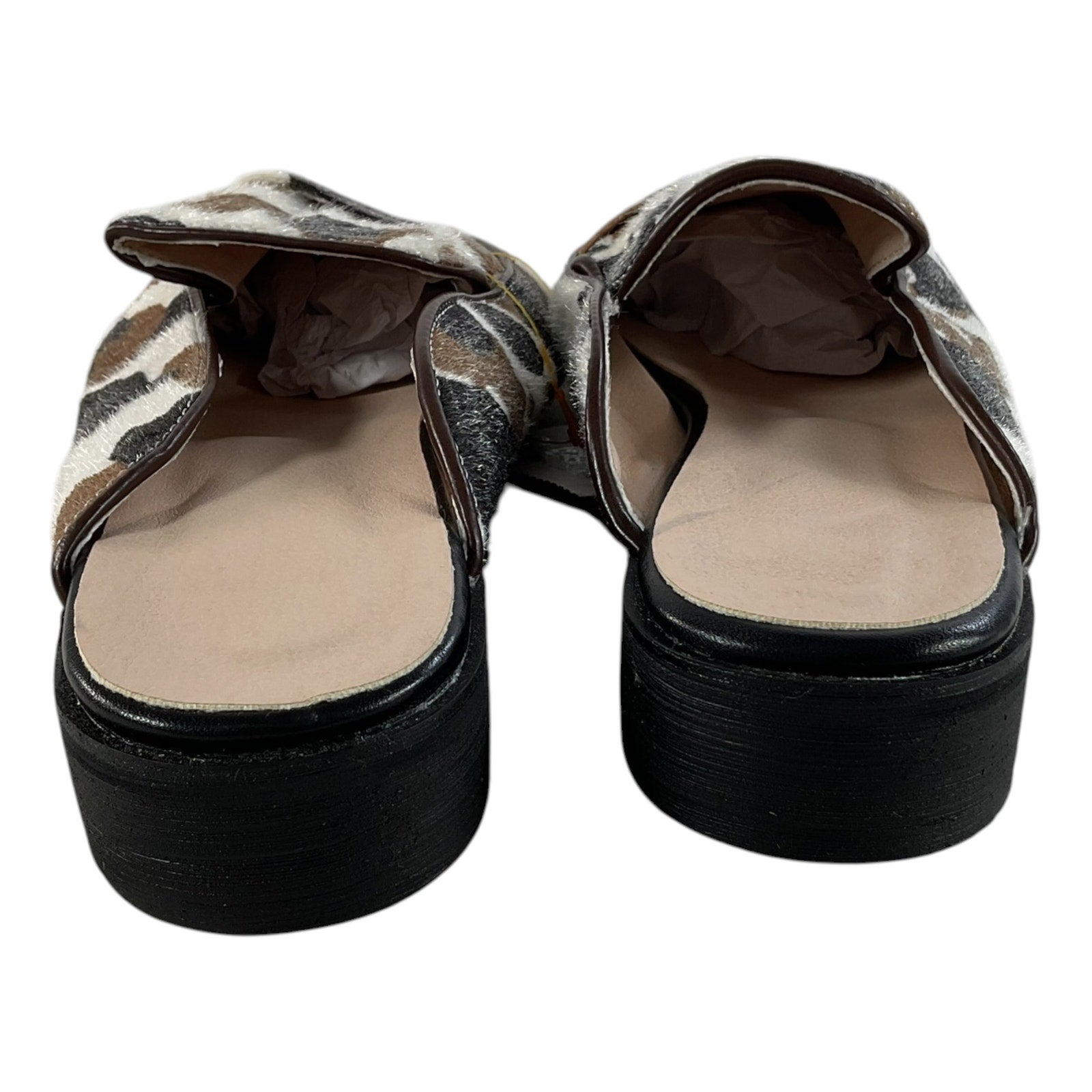 Zapato 8