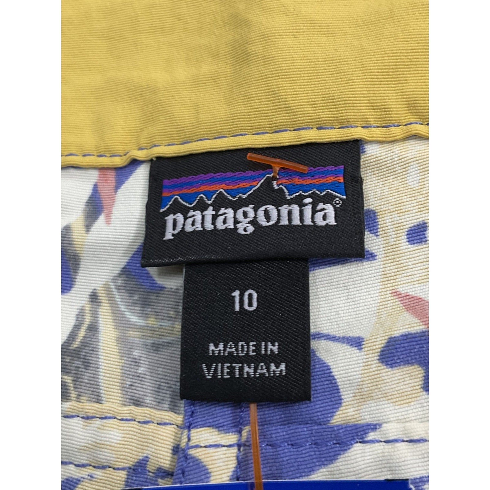Short 10 (Patagonia)
