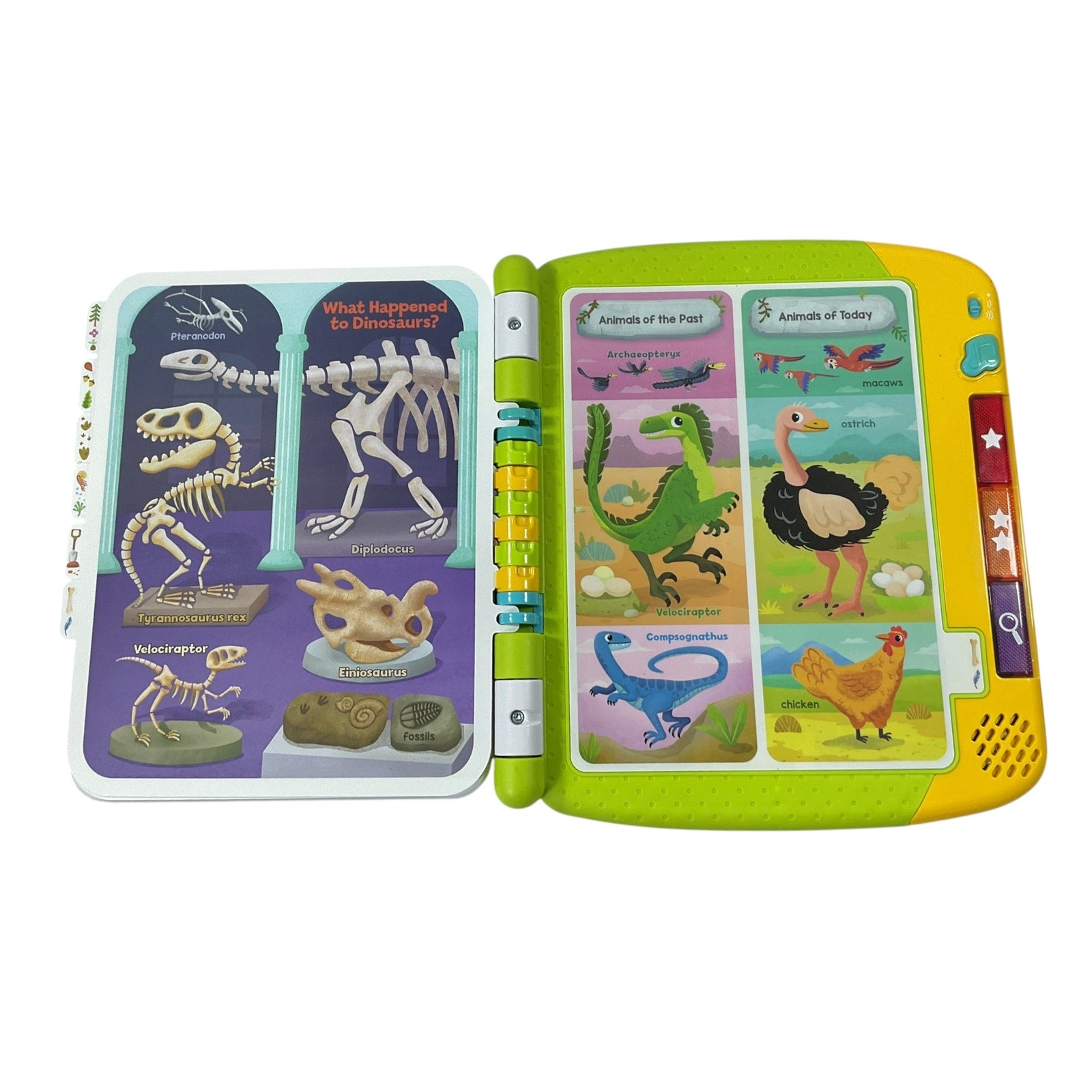 Juguete interactivo (LeapFrog)