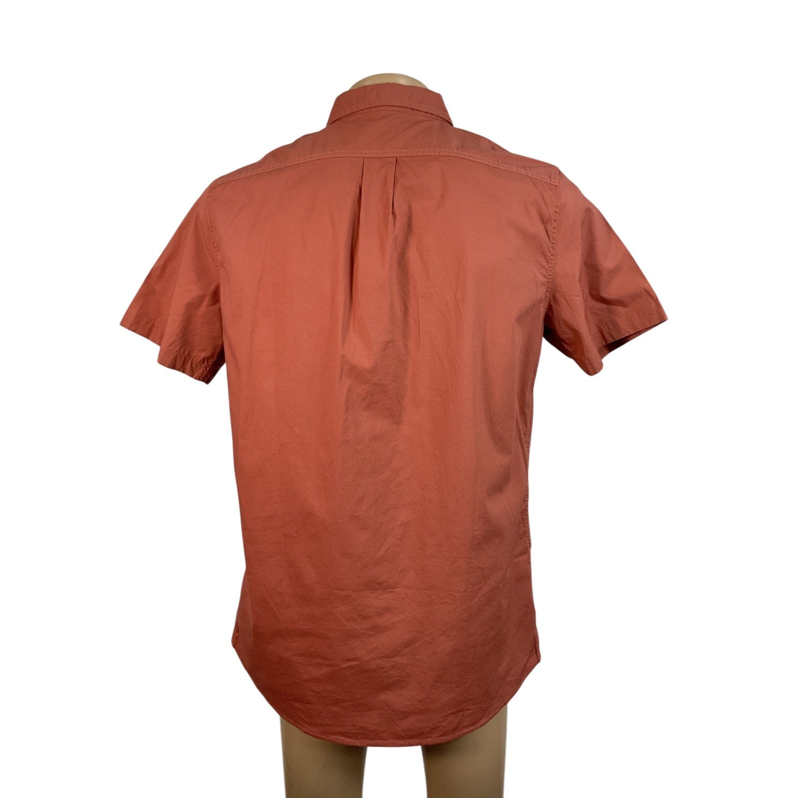 Camisa L (Amazon Essentials)