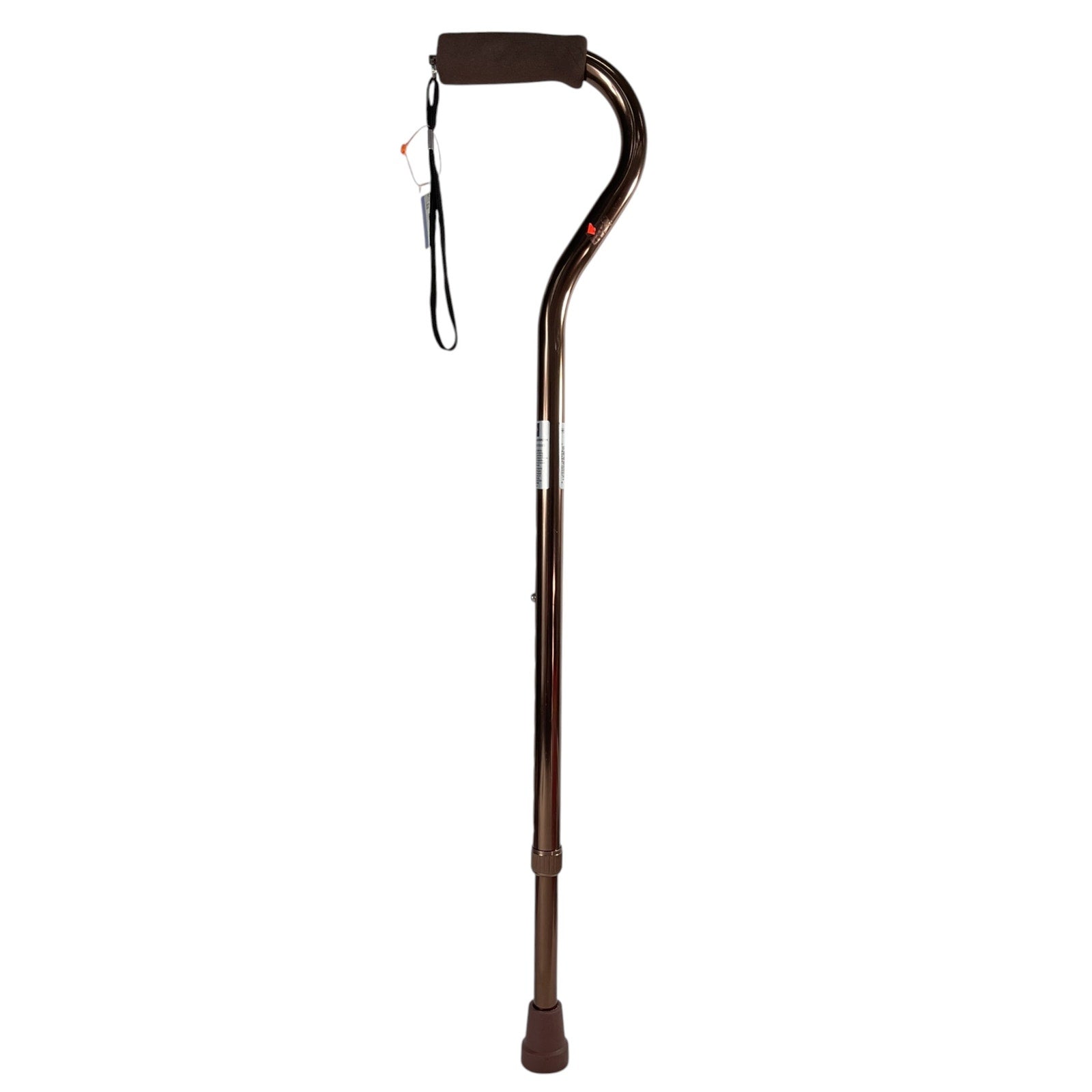 Bastón (MEDLINE)