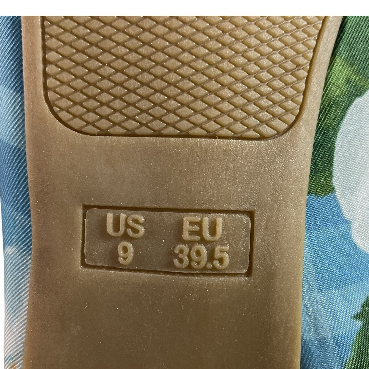 Zapatilla 9 (AKSKATE)