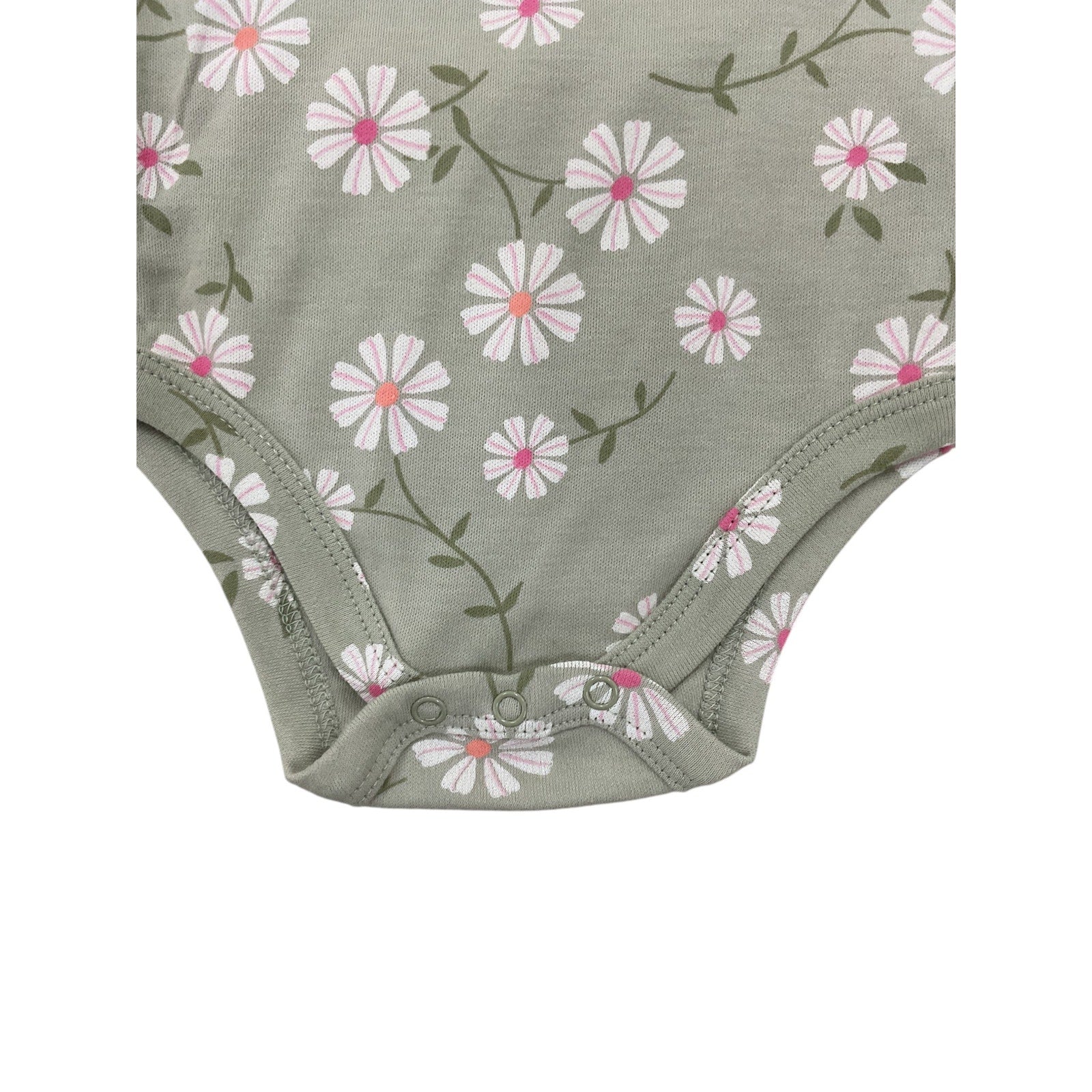 Traje de Bebe Niña3-6M (Little Chikadees)