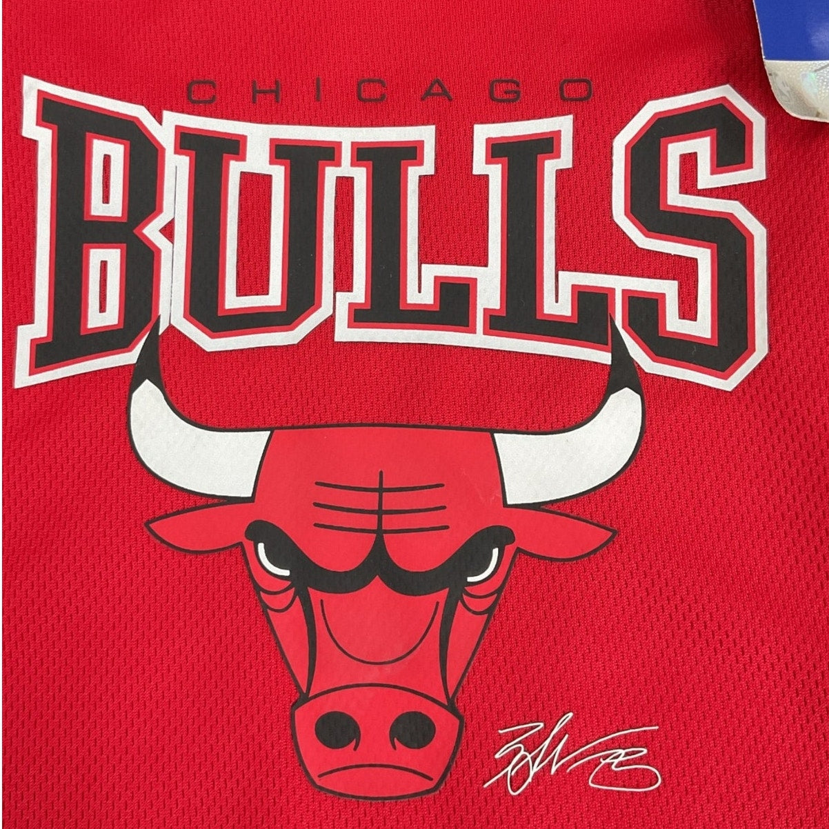 Camisa Niño Chicago Bulls 1Y (NBA)