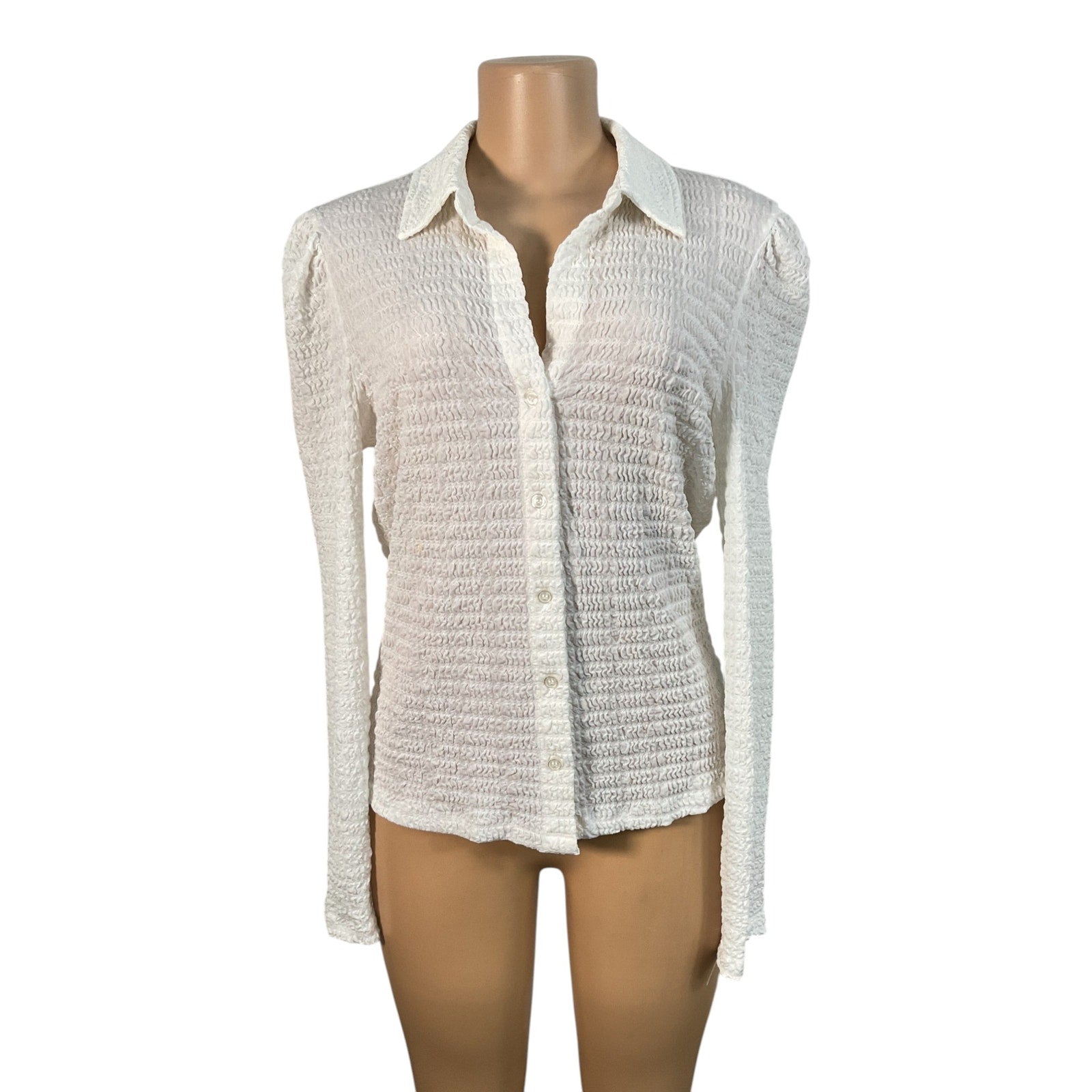 Blusa M (Philosophy)