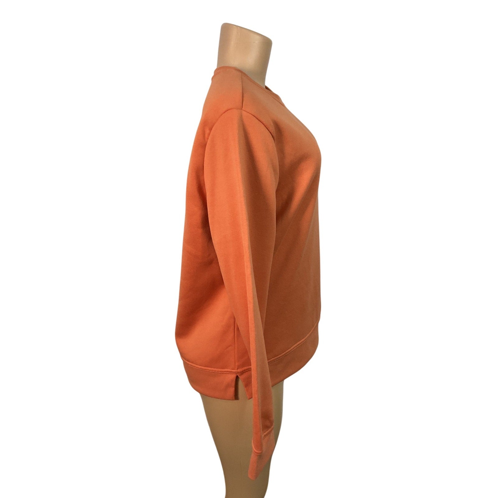 Sueter L (Gap)