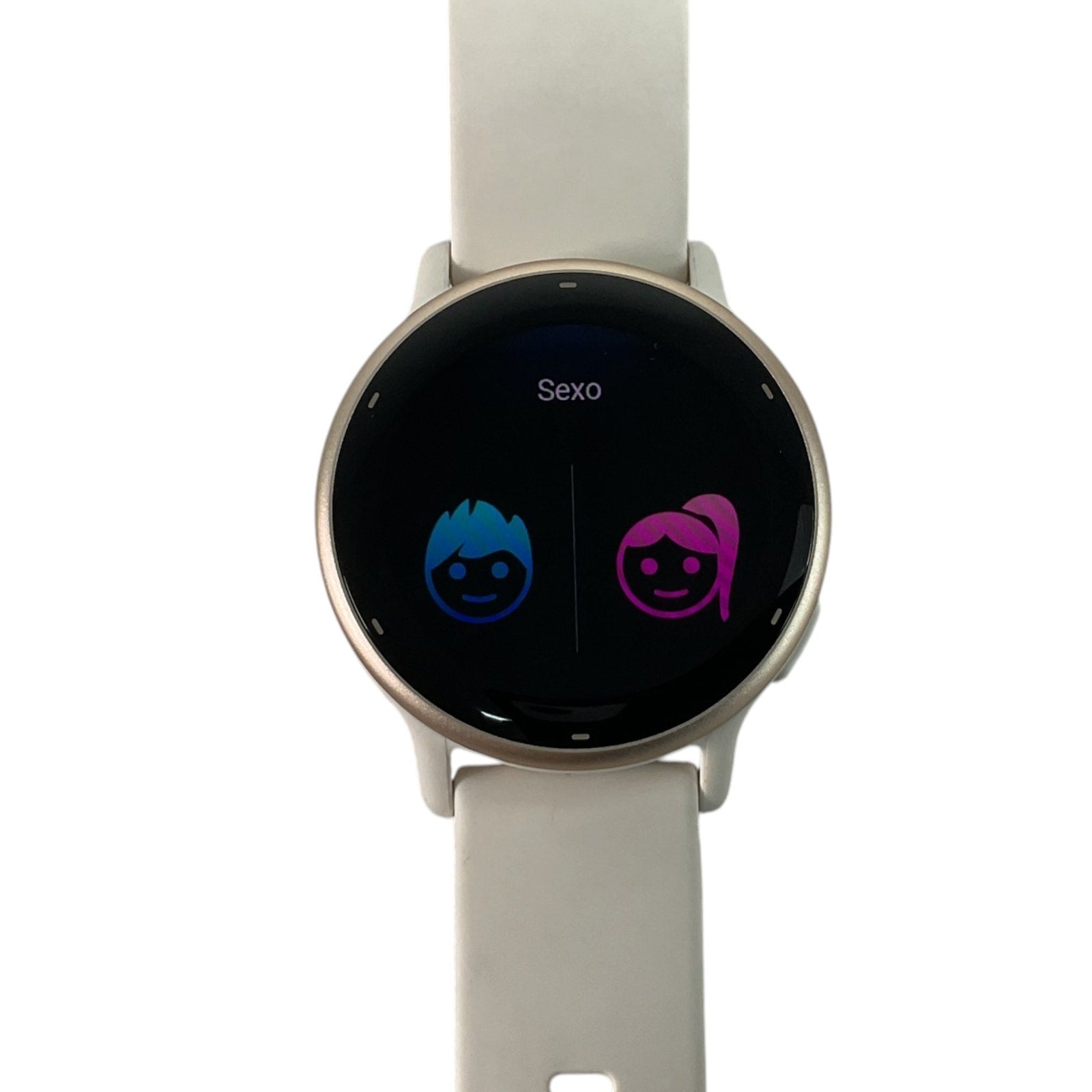 Reloj Inteligente (GARMIN Vivoactive 5)