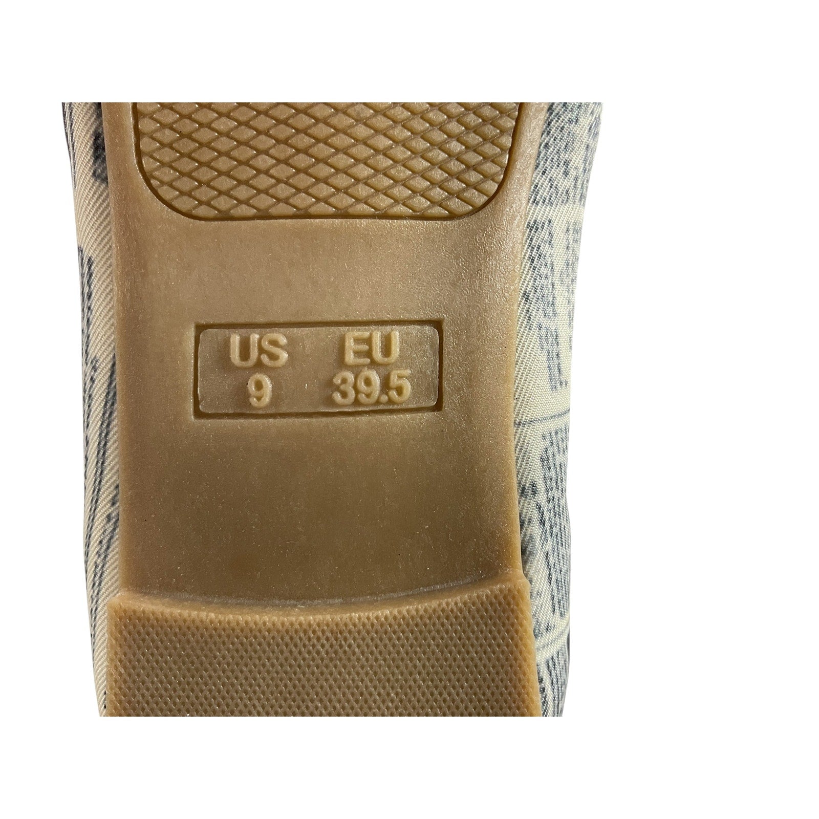 Zapatilla 9 (AKSKATE)