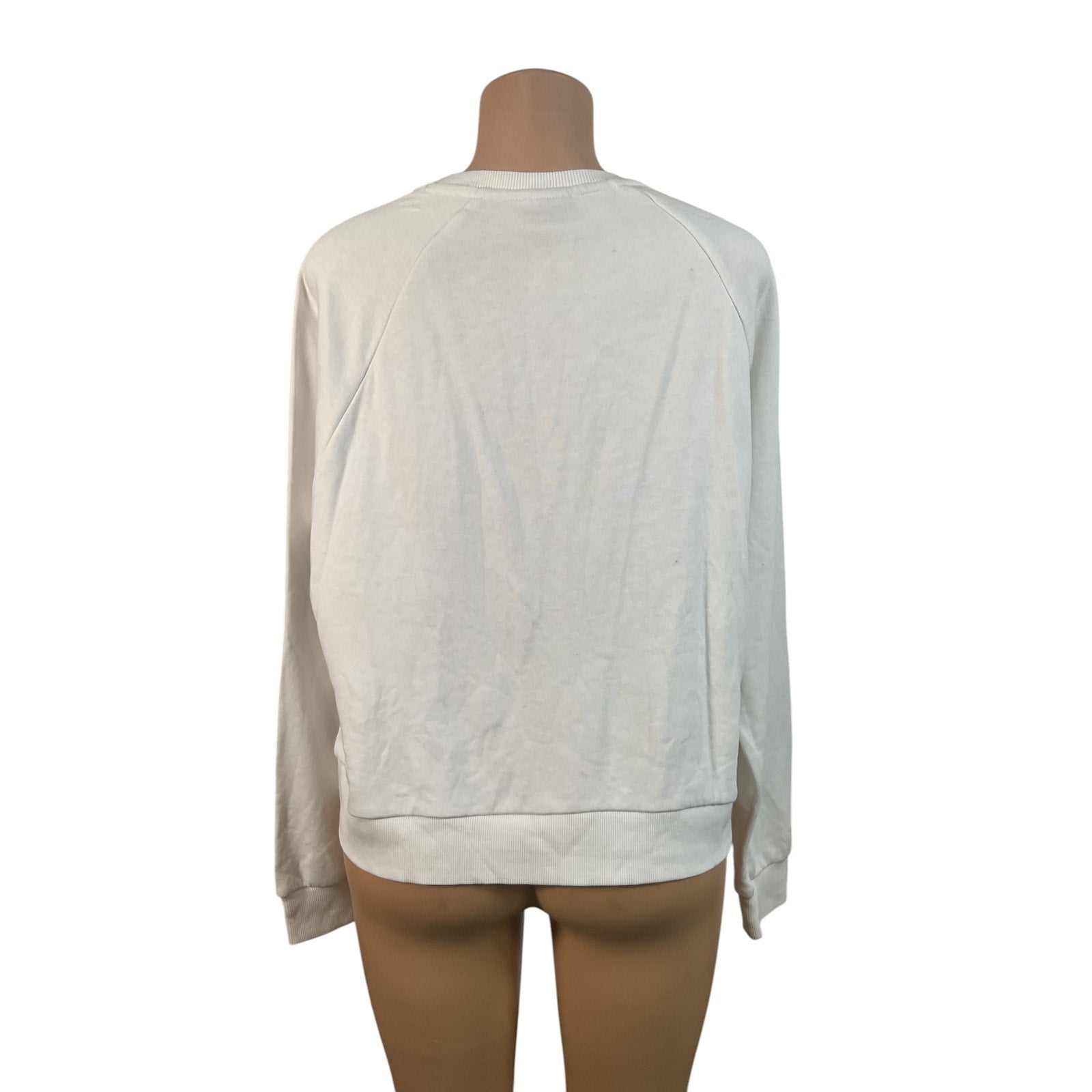 Sueter L (Puma)