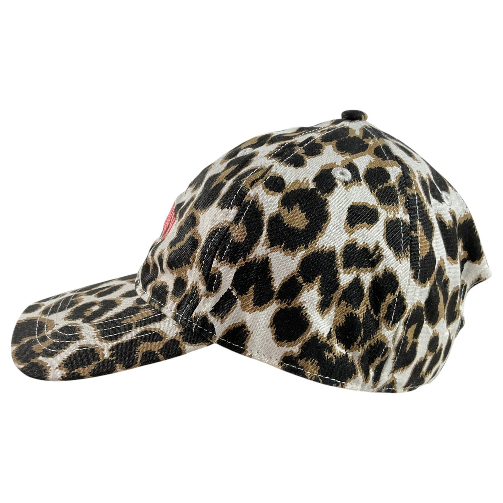 Gorra  (OLD NAVY)