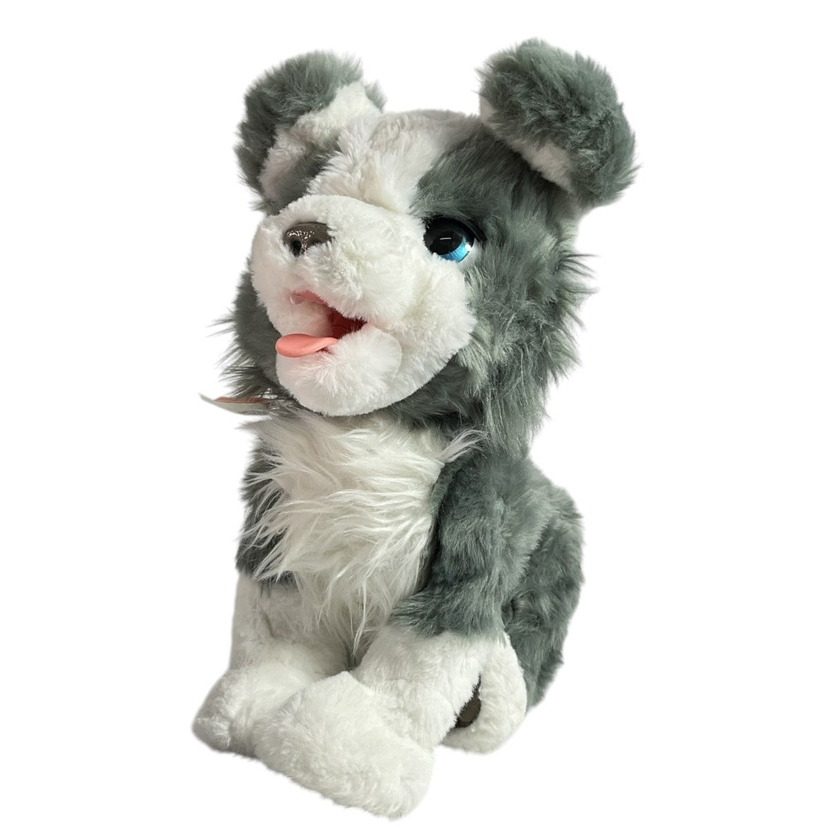 Cachorro