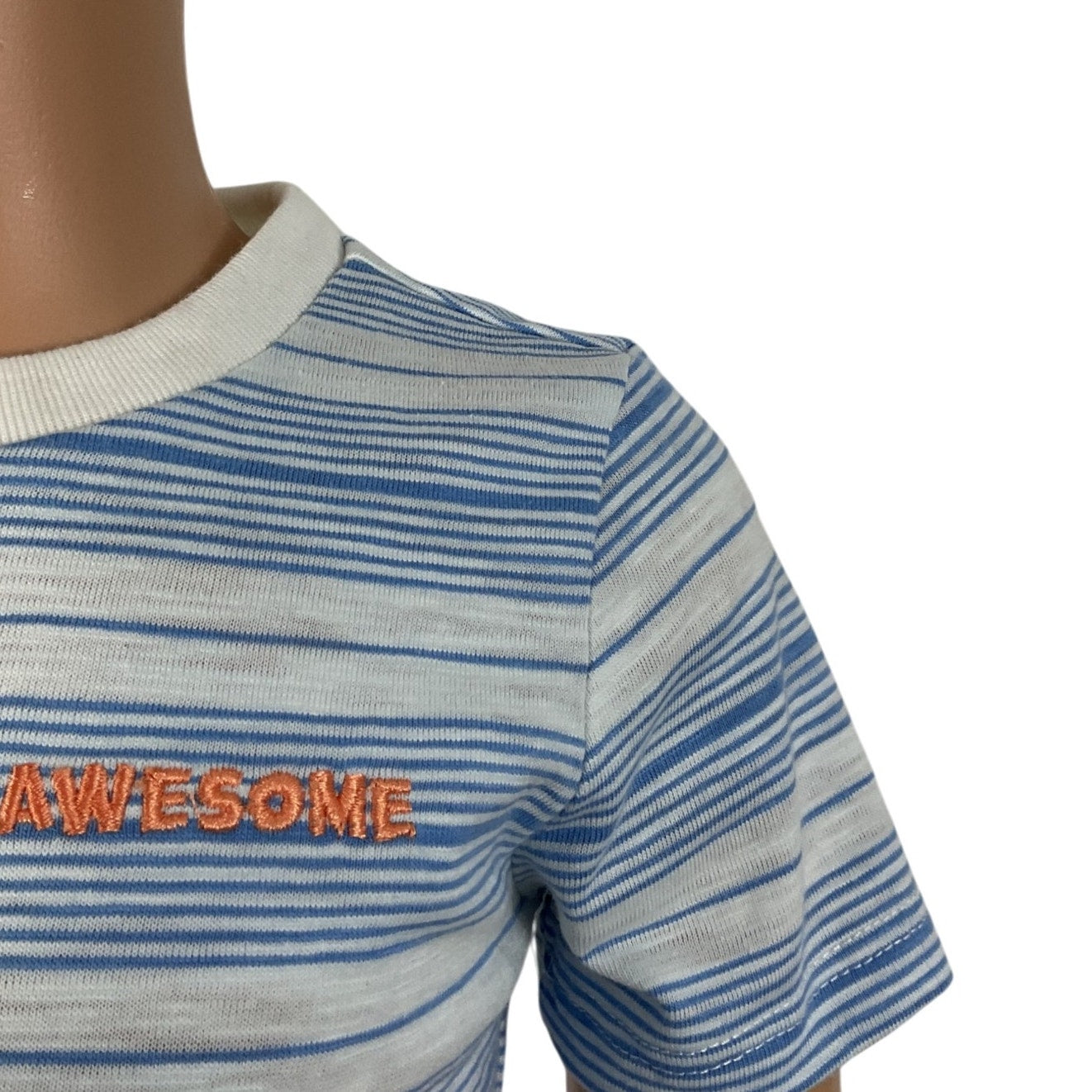 Camisa Niño 2T (Garanimals)