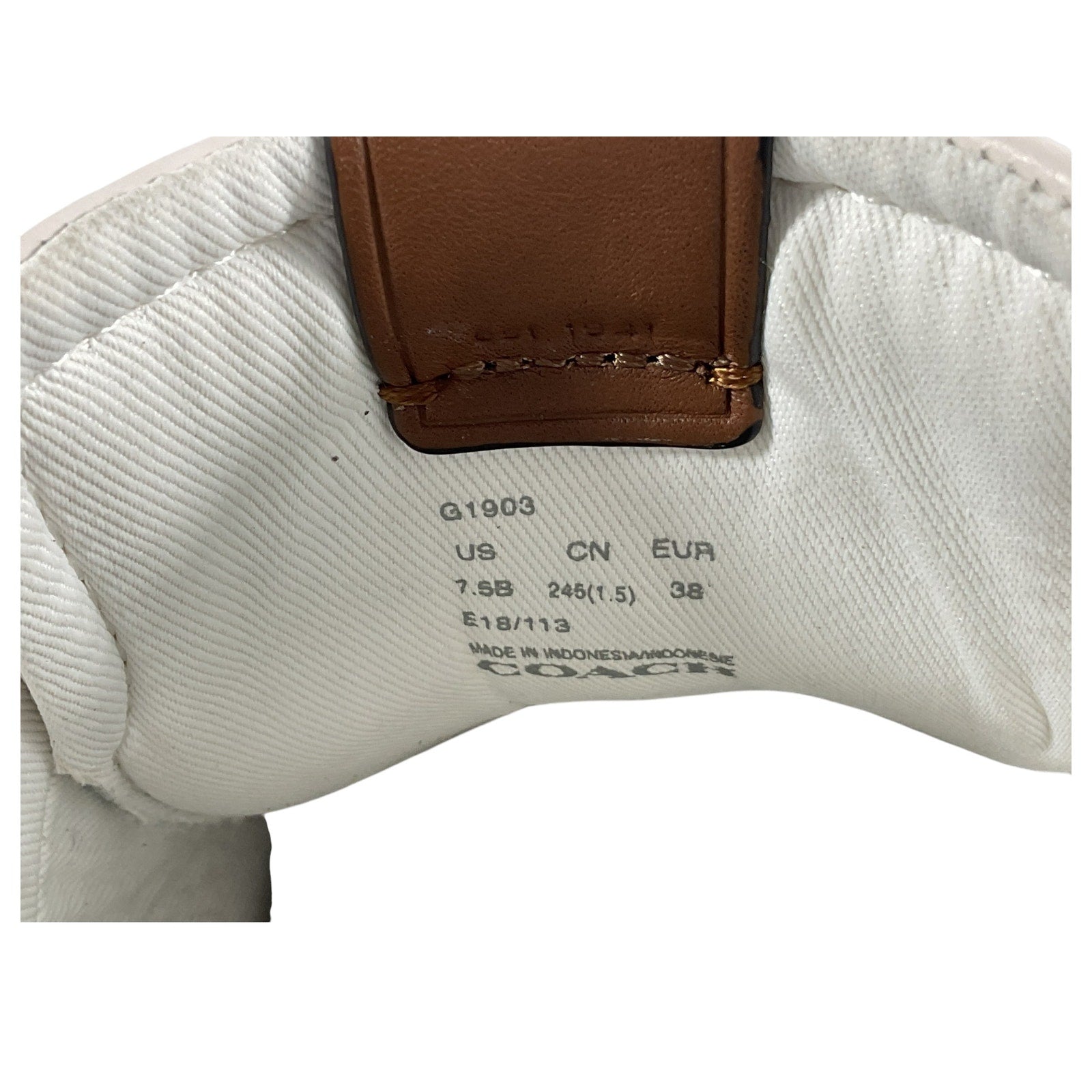 Tenis 7.5 (coach)
