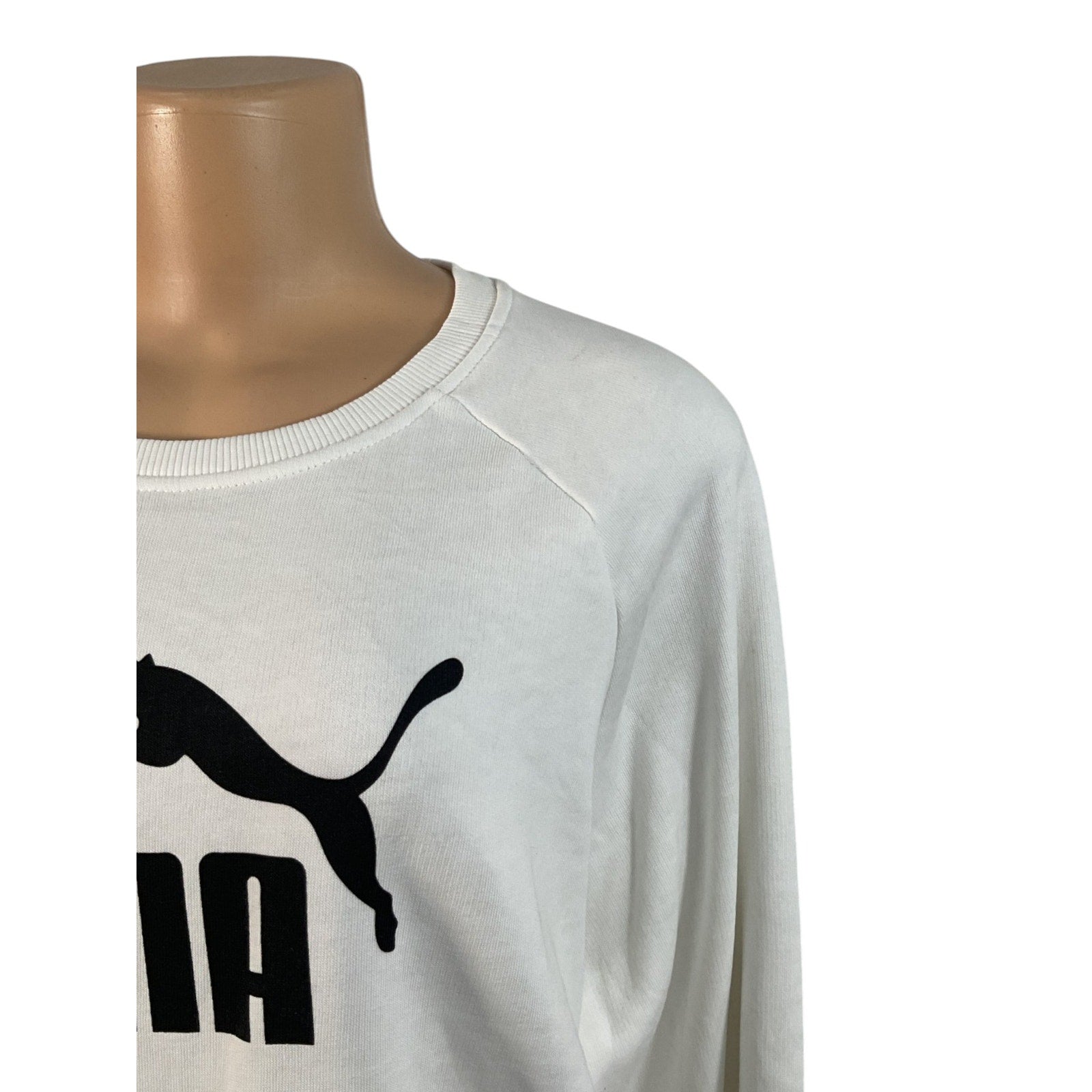 Sueter L (Puma)