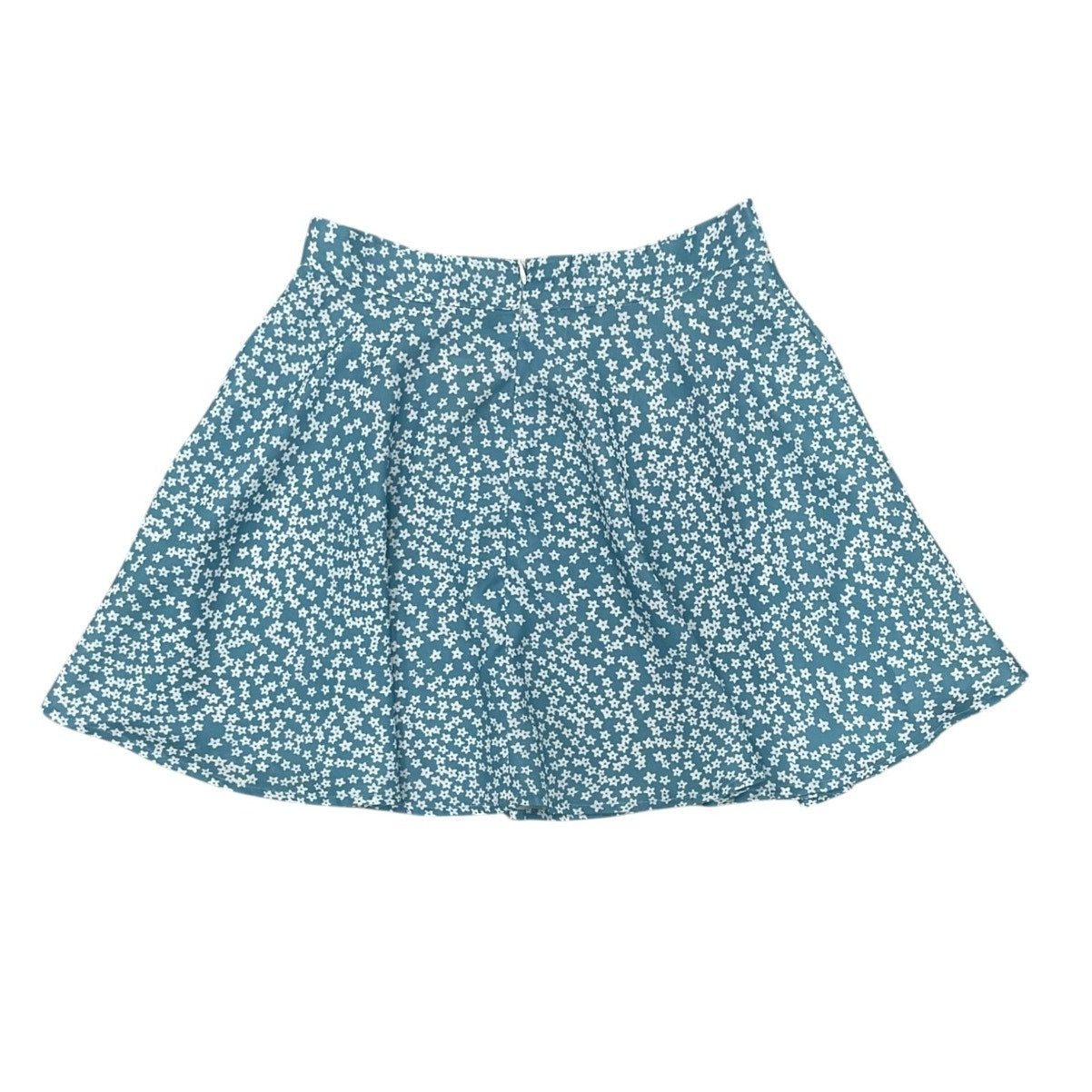 Falda S