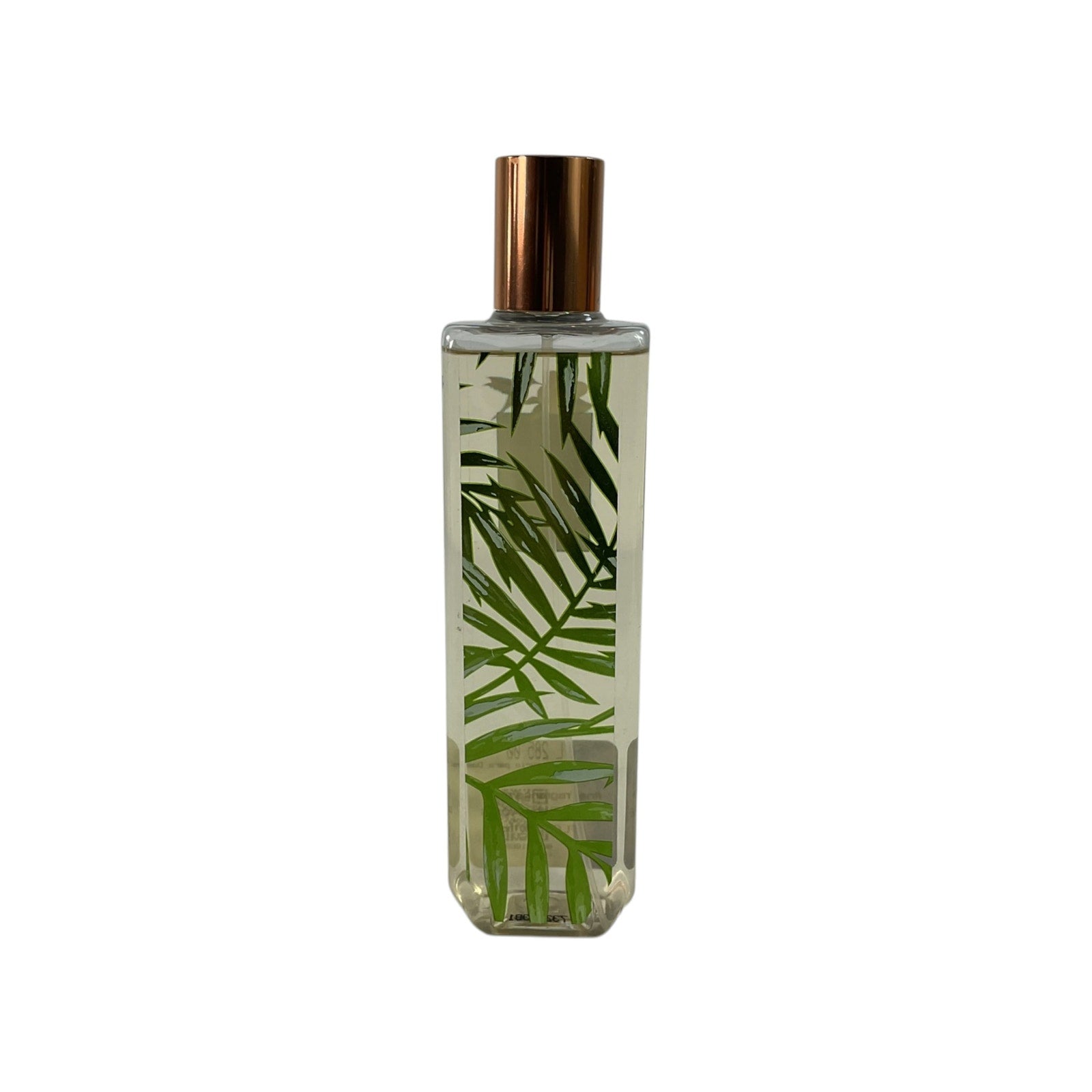 Splash (Fiji Pineapple Palm)
