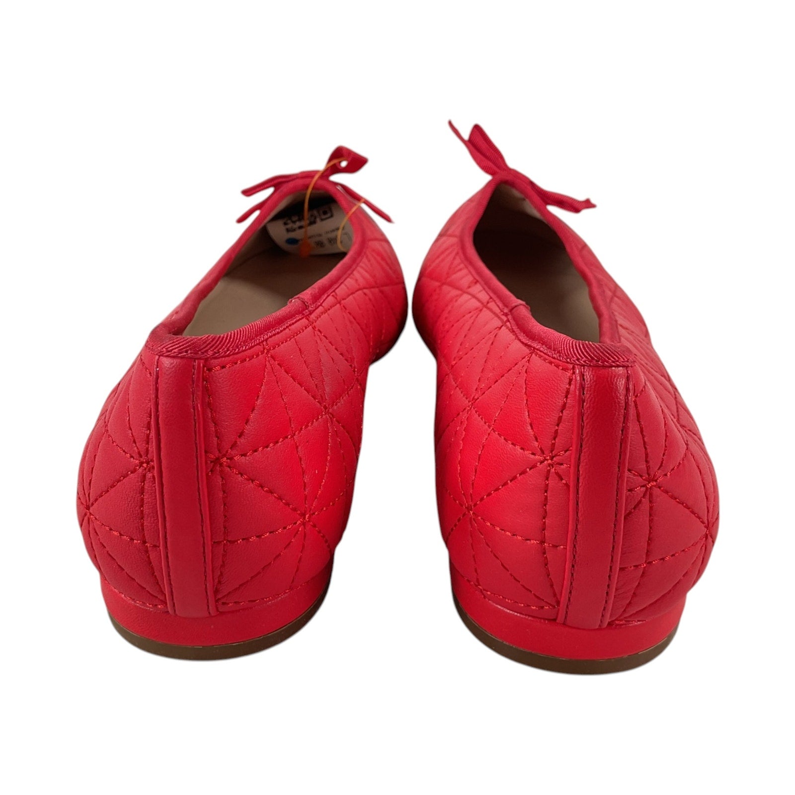 Zapatilla 10 (Talbots)