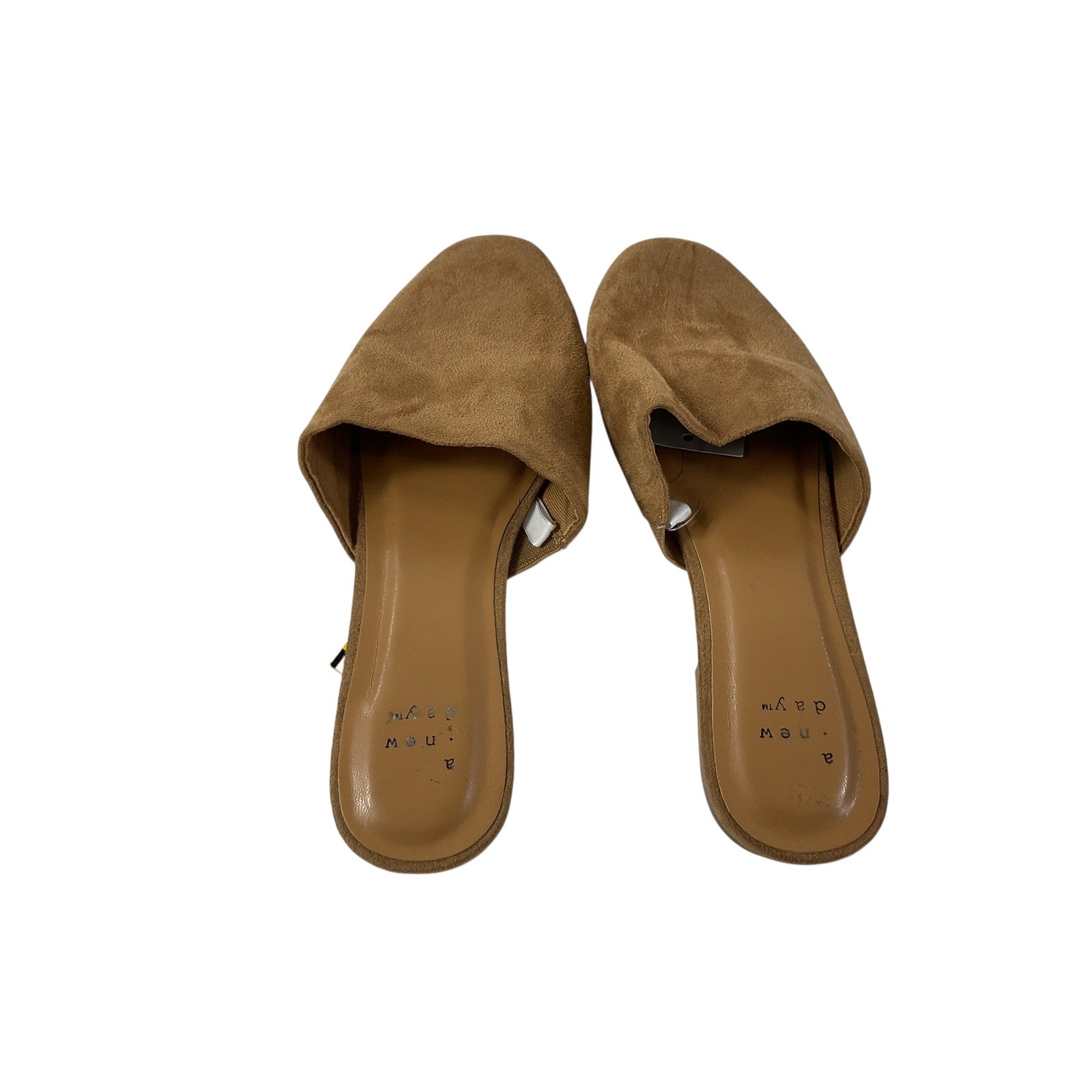 Zapatilla 6.5 (a new day)