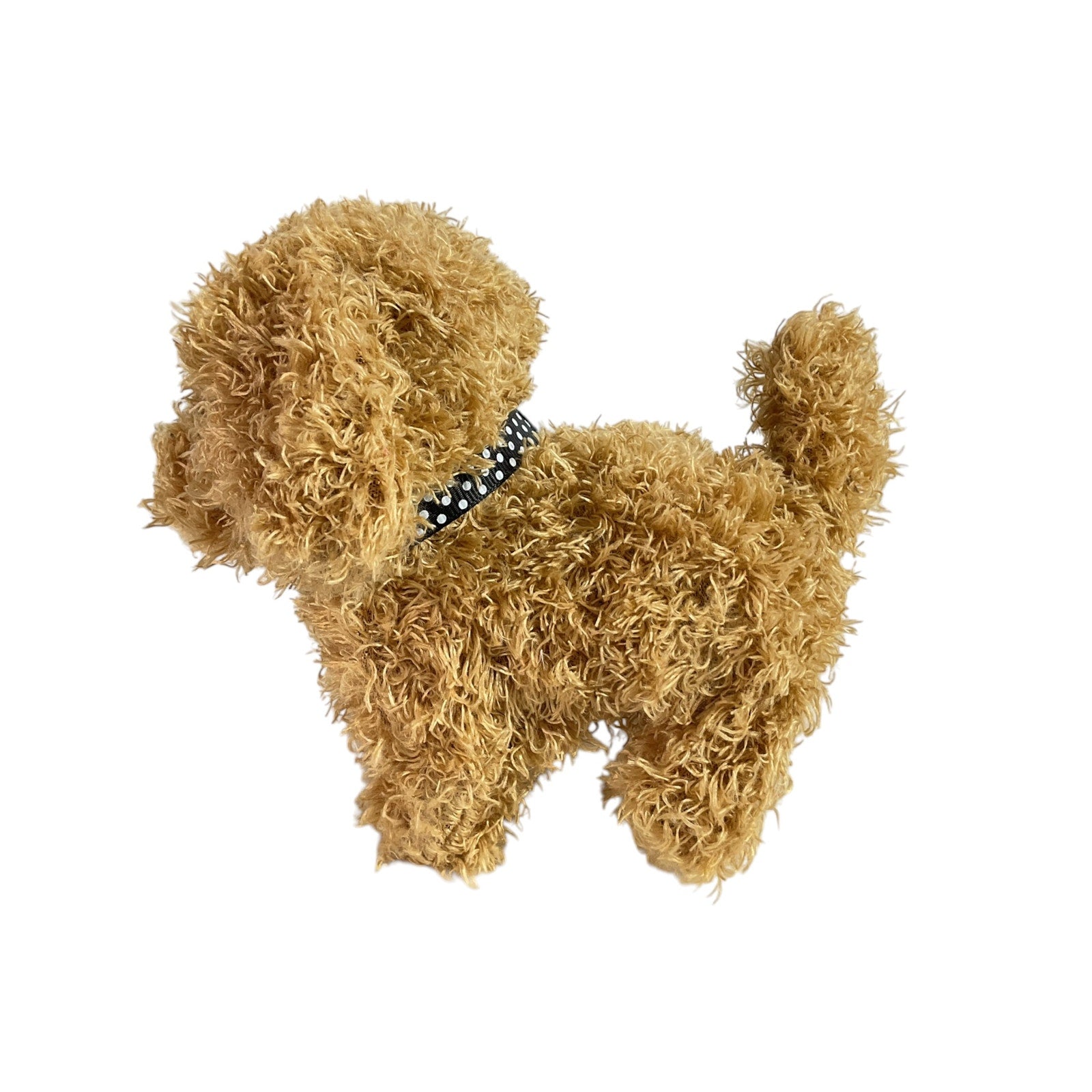 Perrito