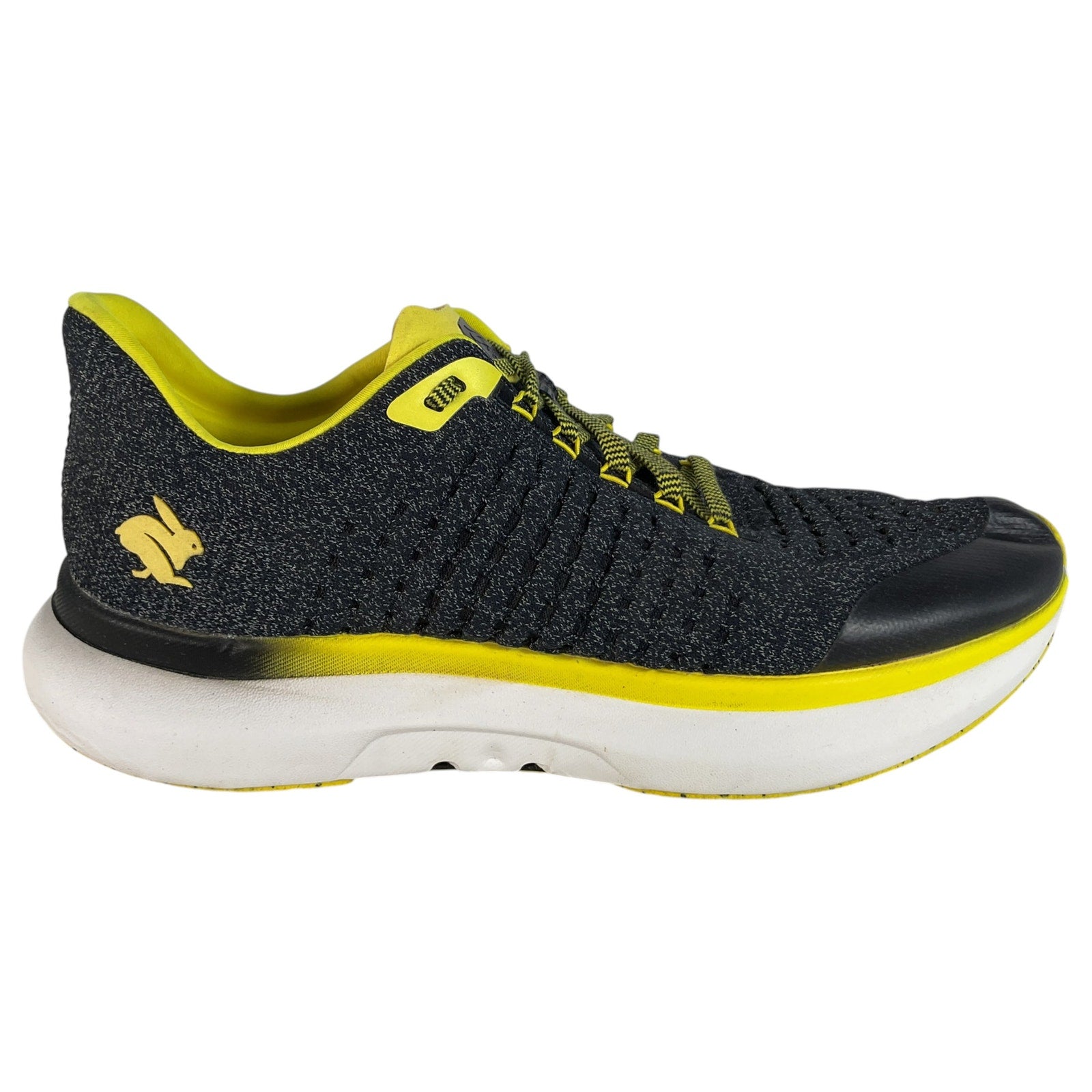 Tenis 13 (Dream Chaser)