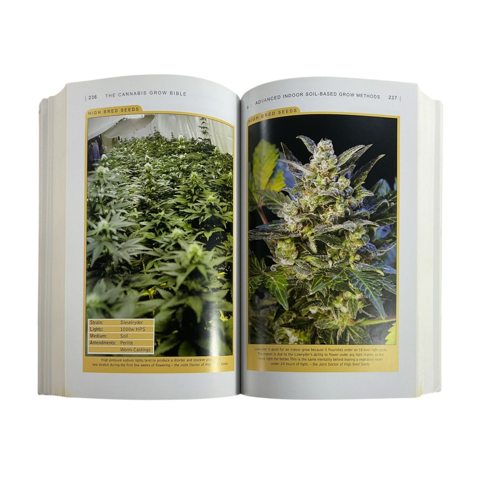 libro  (The Cannabis Grow Bible)