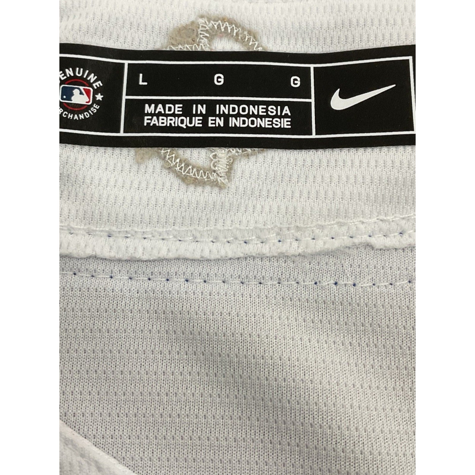 Camisa L (Nike)