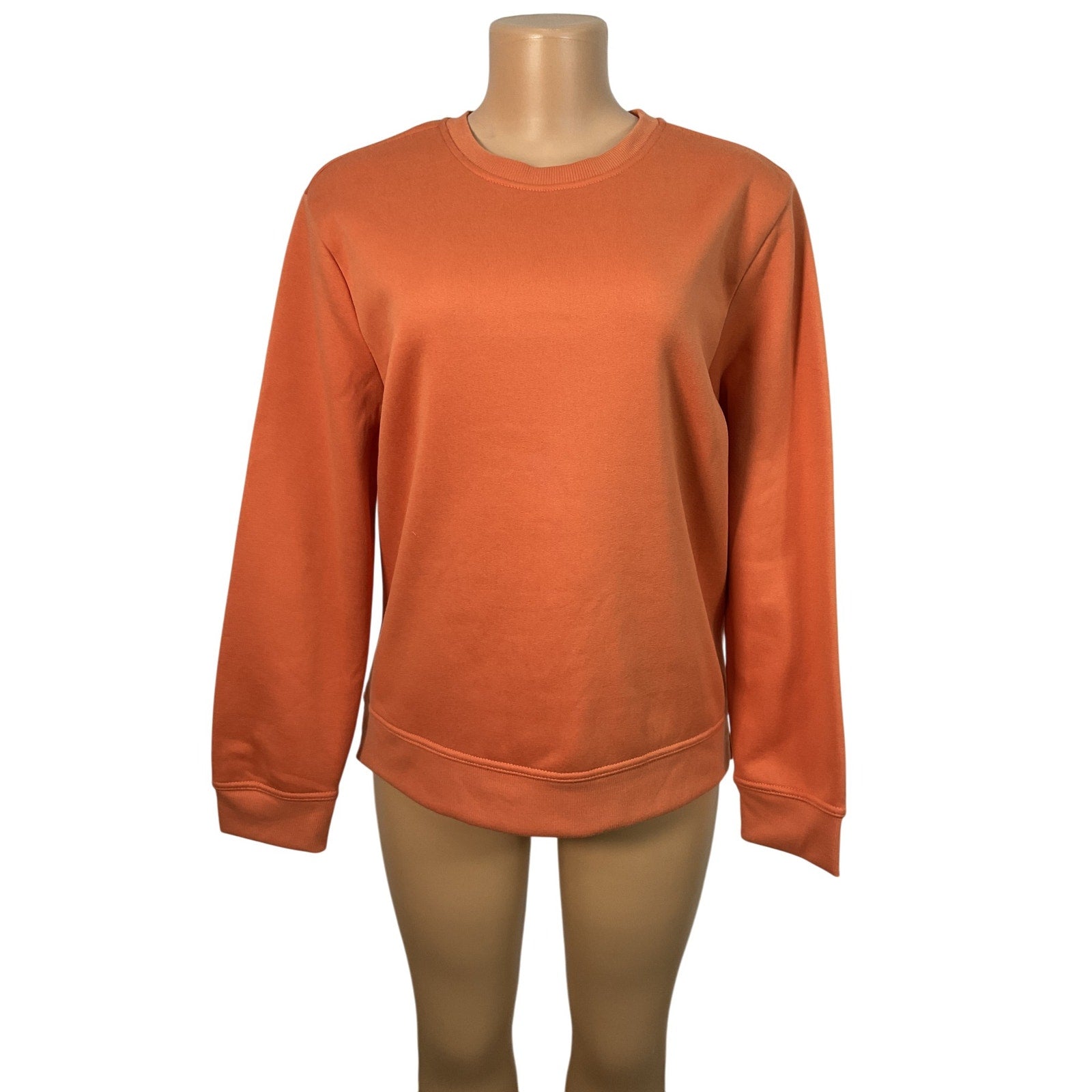 Sueter L (Gap)