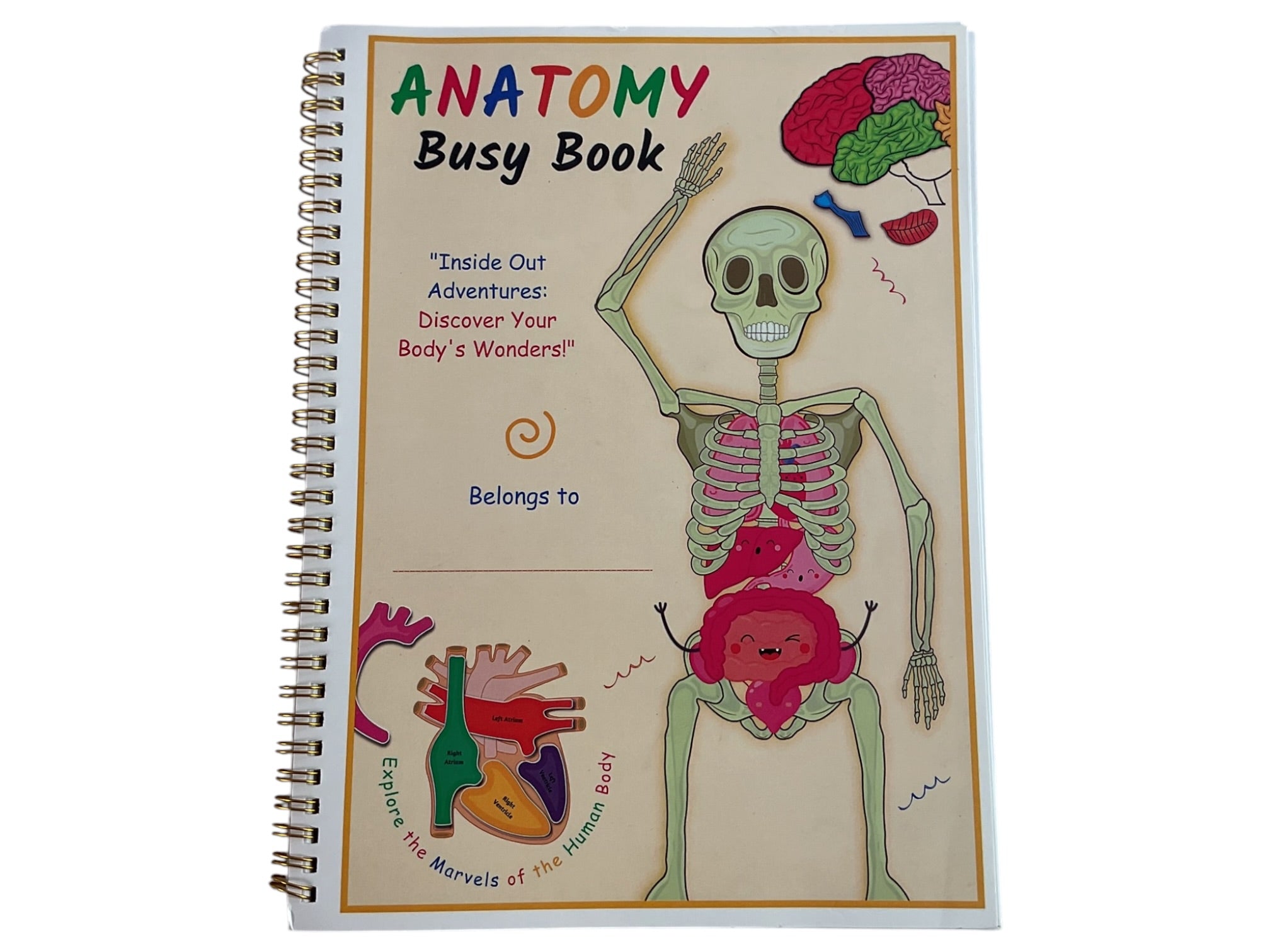 Libro de anatomía