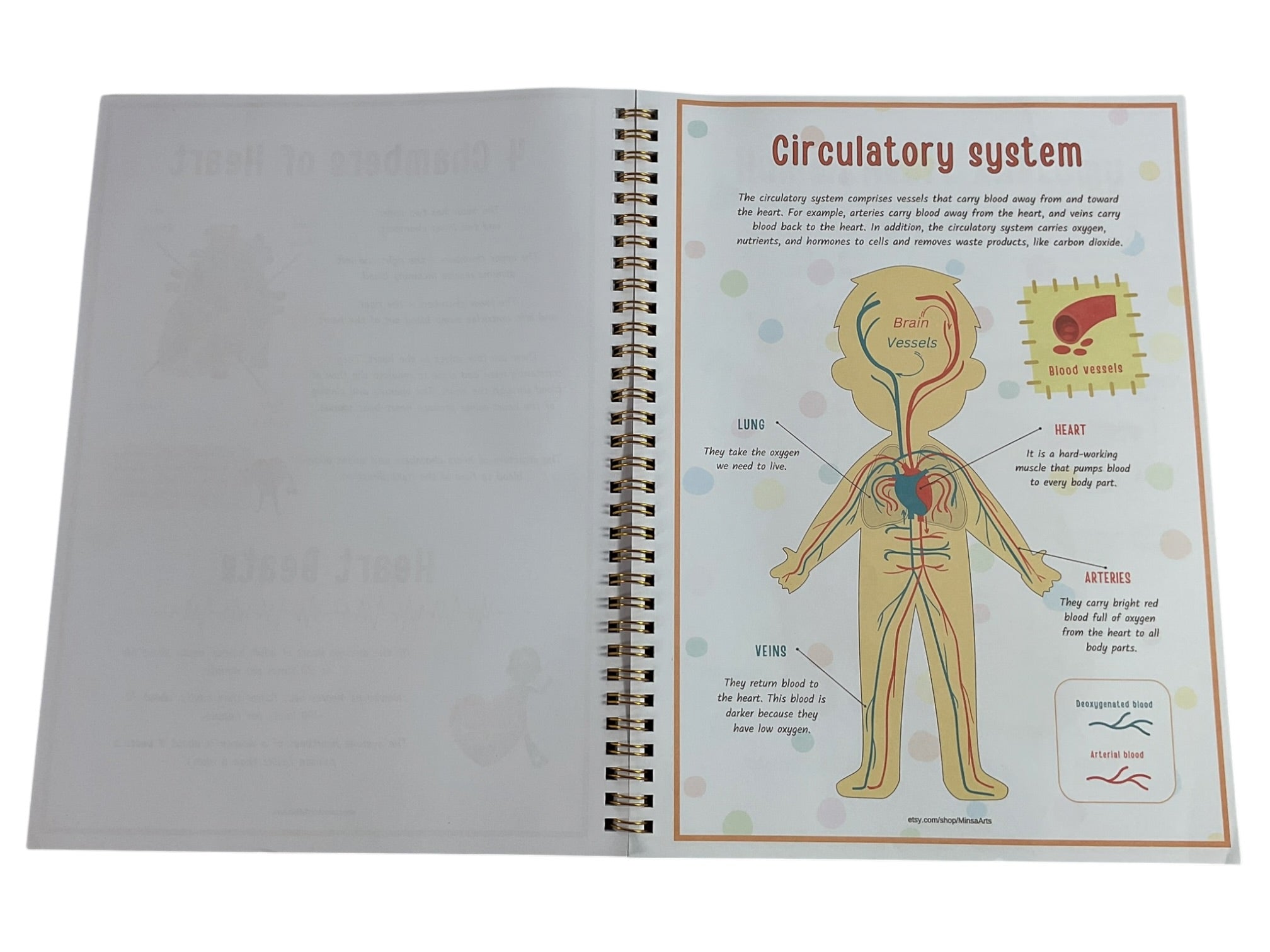 Libro de anatomía