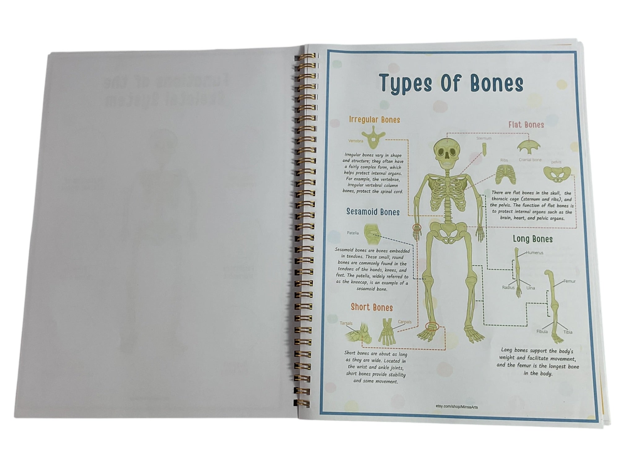 Libro de anatomía