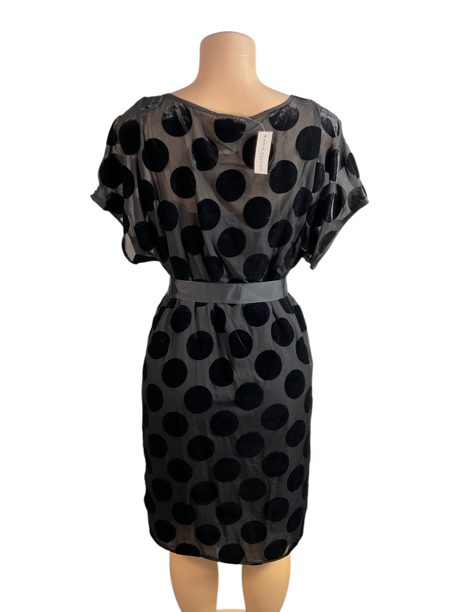 Vestido M (Ann Taylor)