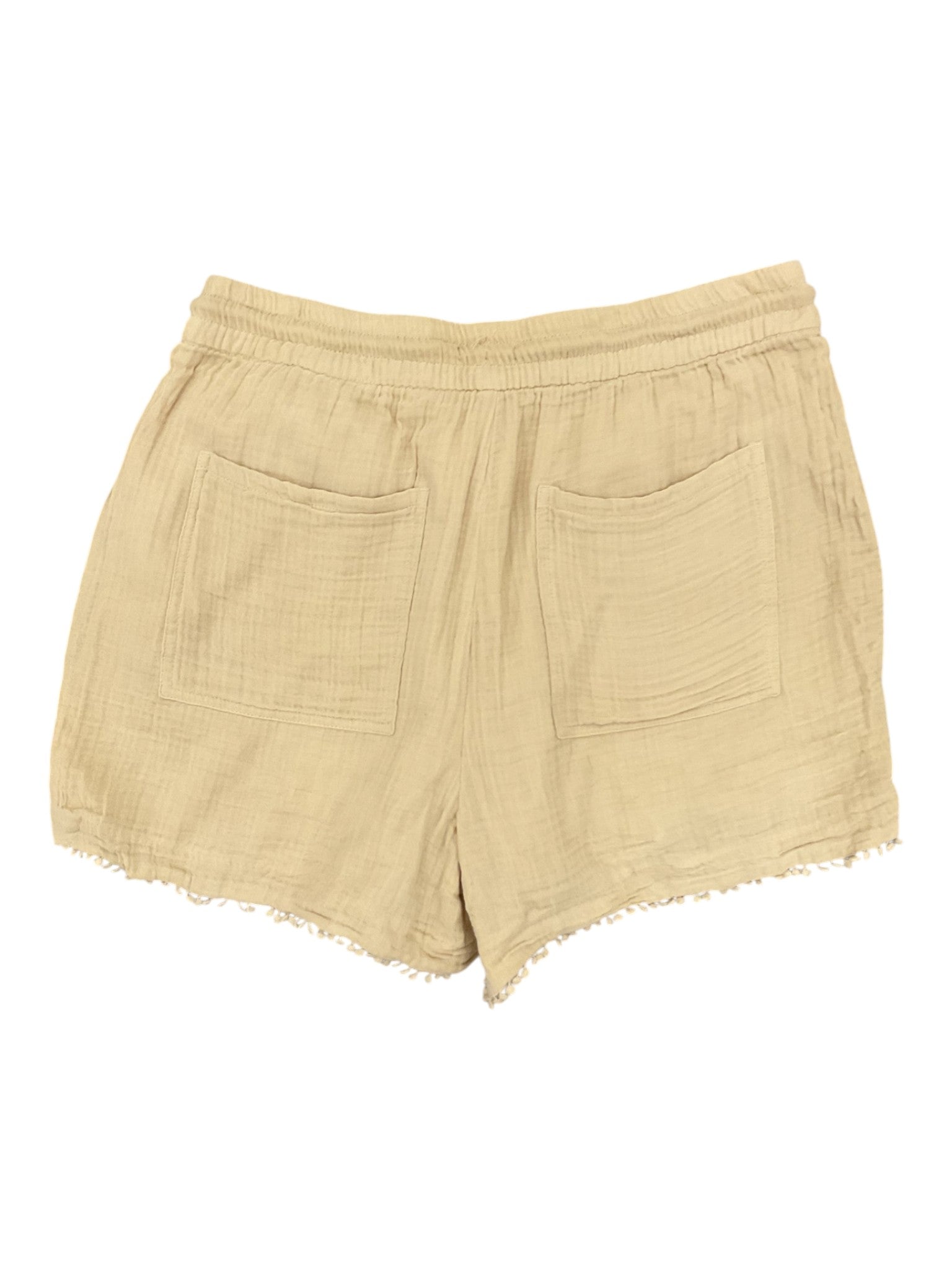 Short M (Ann Taylor)
