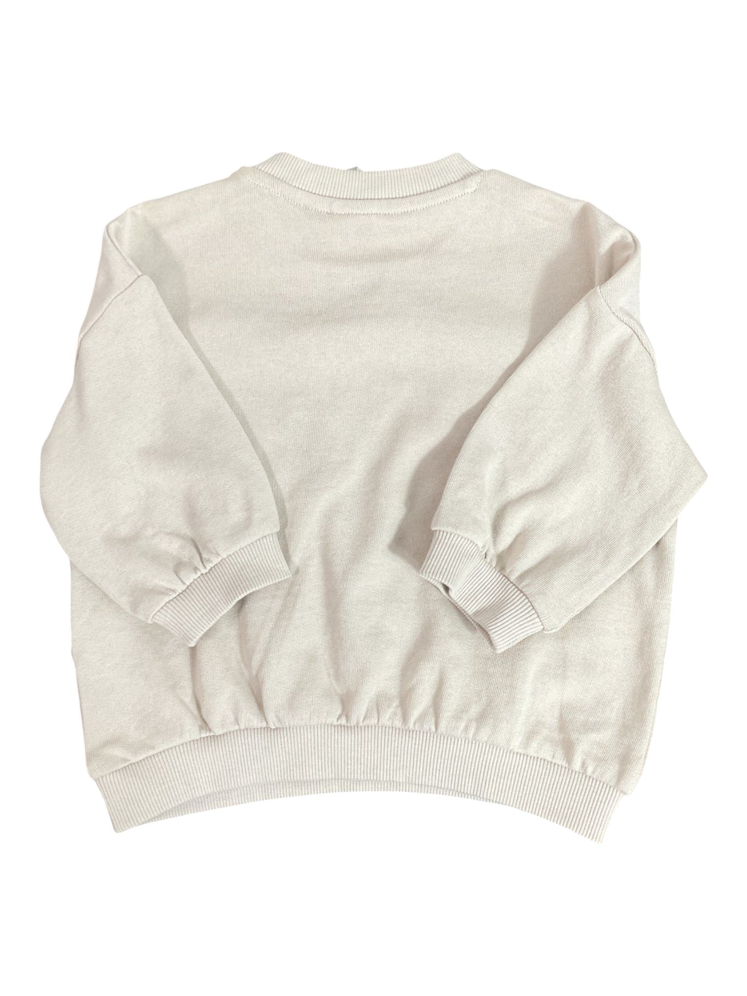 Sudadero Niño 4/6M (H&M)