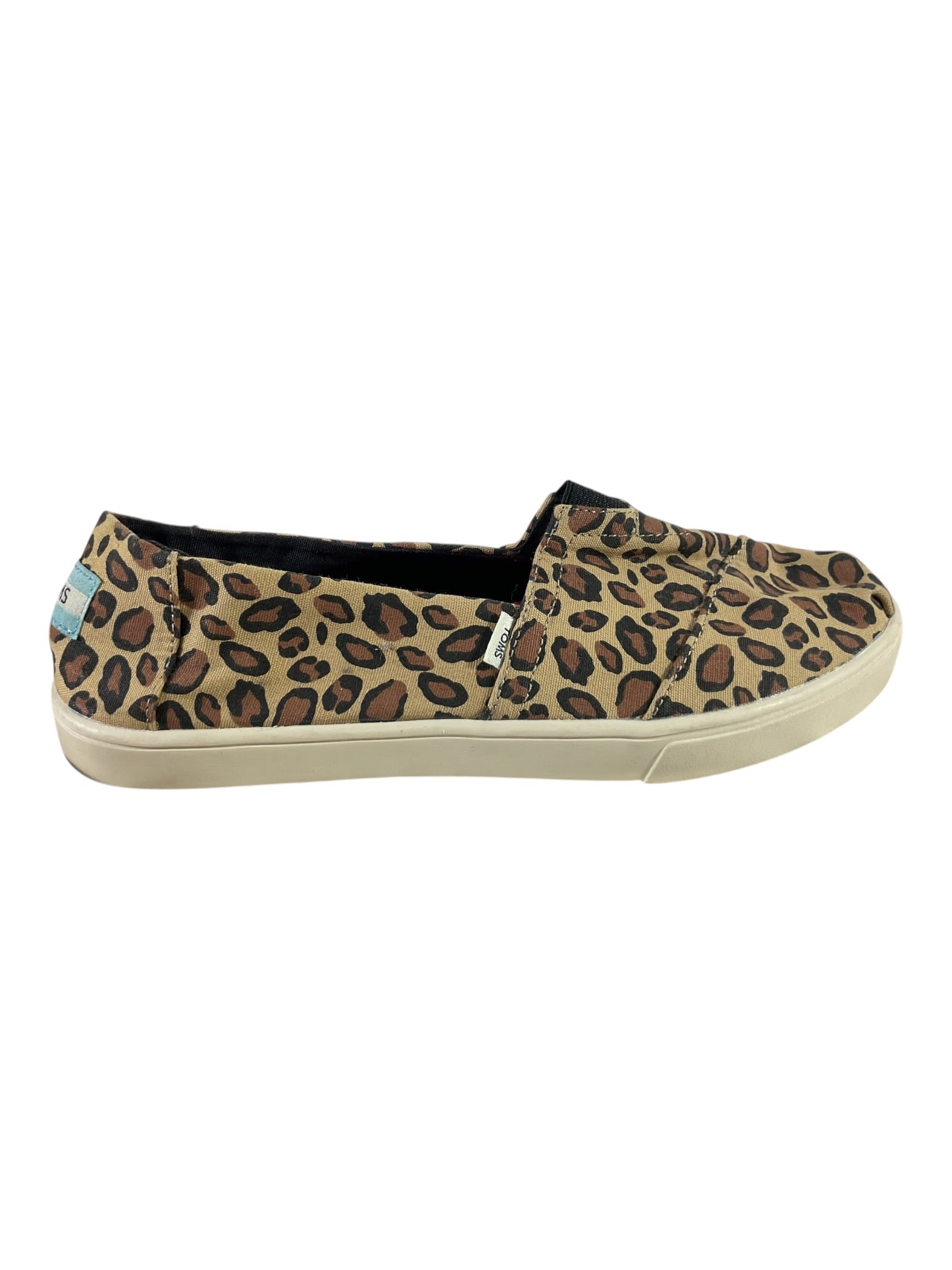 Zapato 8 (Toms)