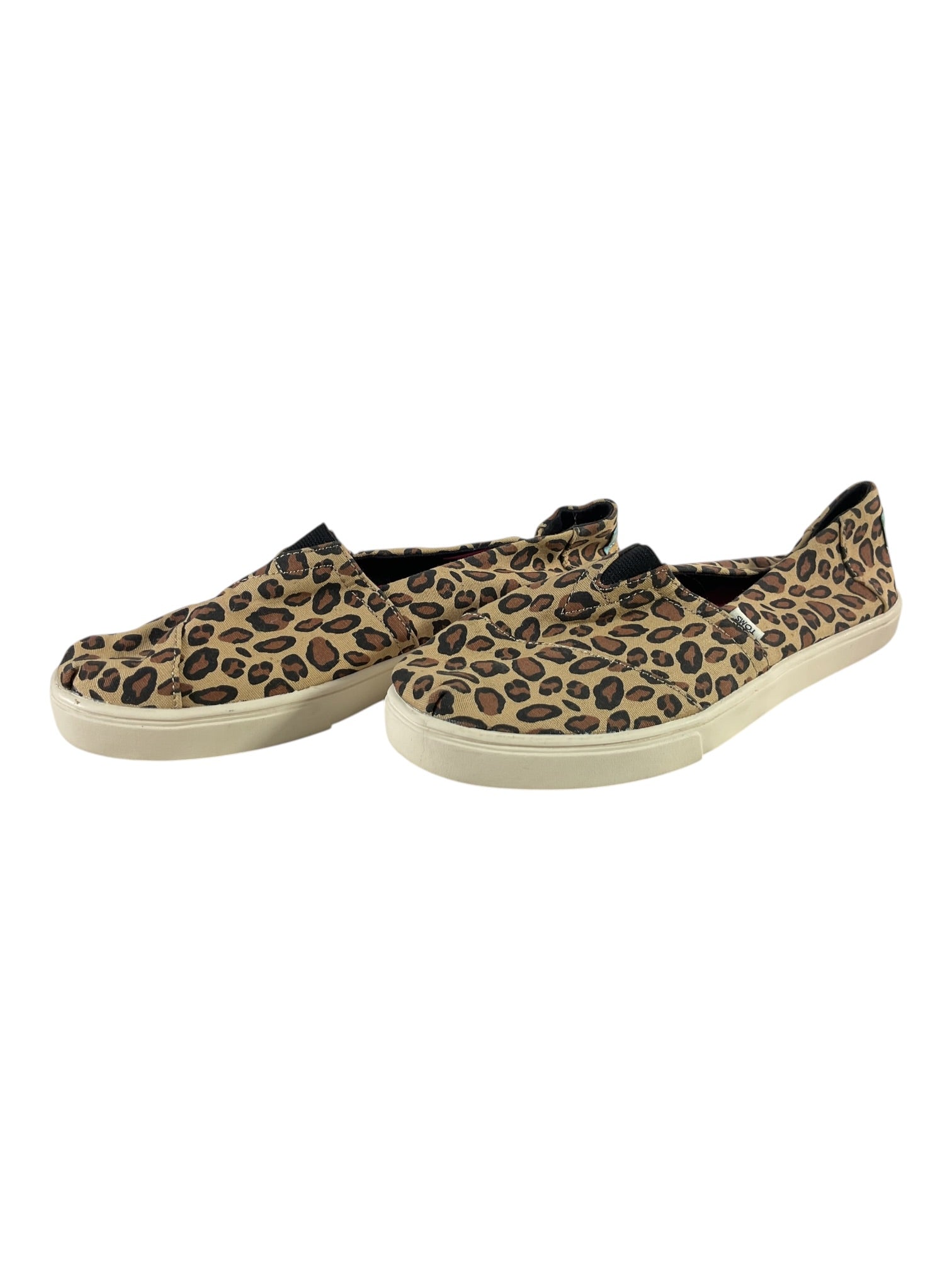 Zapato 8 (Toms)