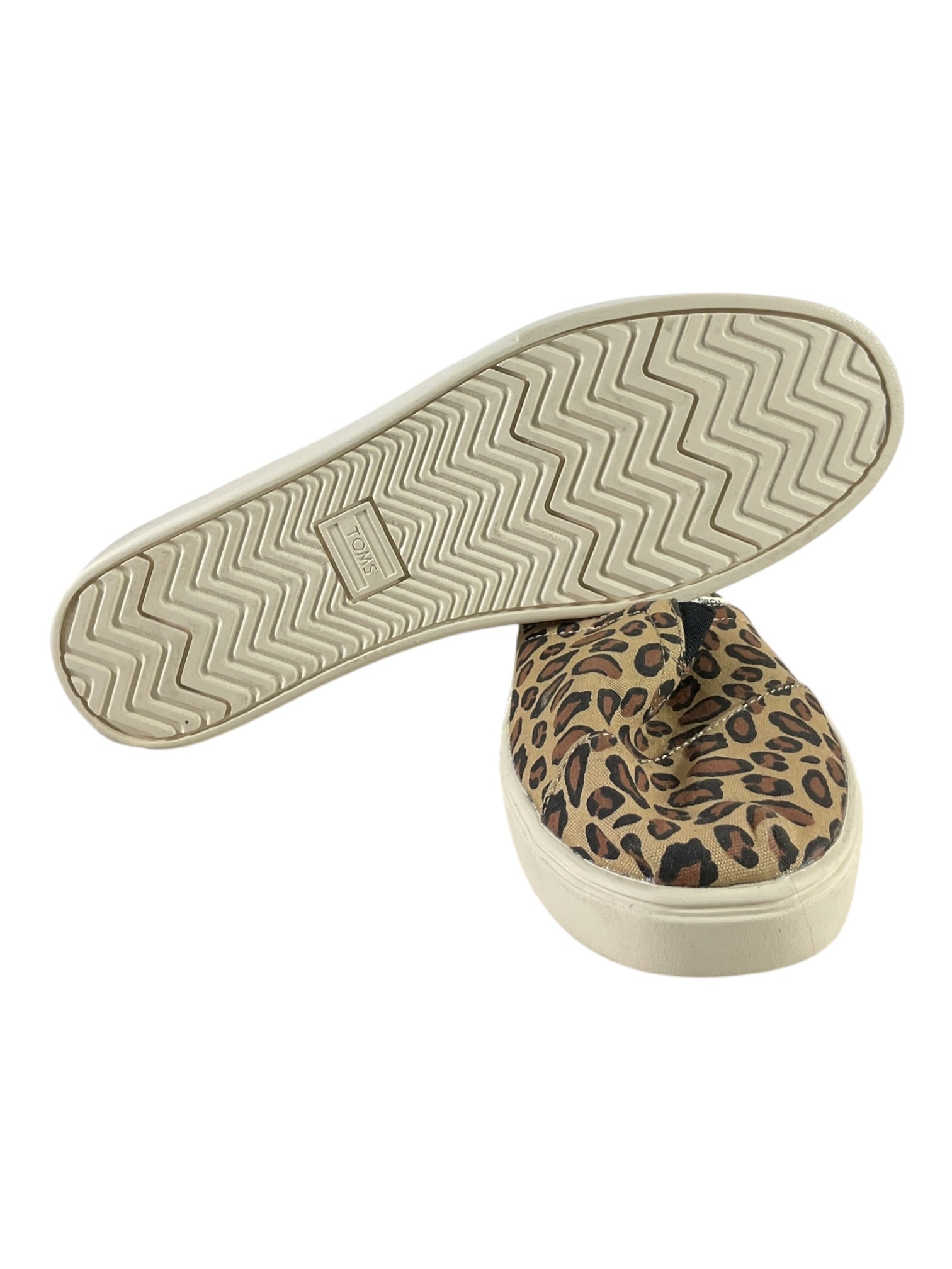 Zapato 8 (Toms)