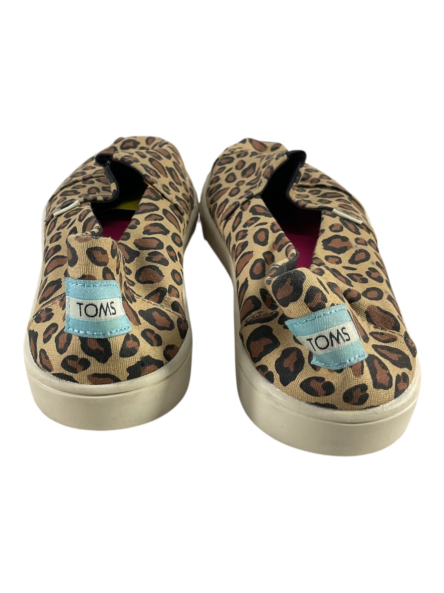 Zapato 8 (Toms)