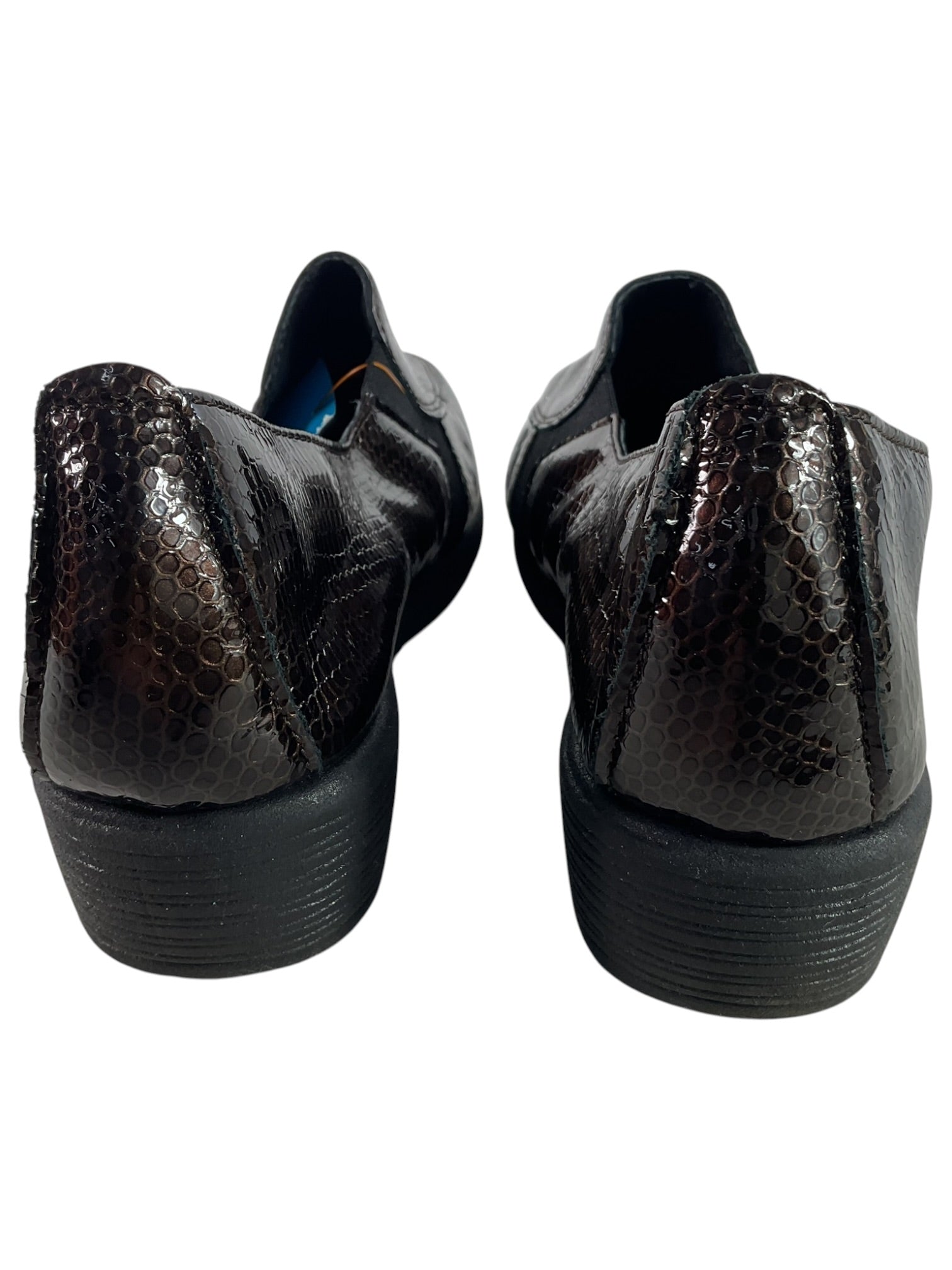 Zapato 7  (Flex & Co)