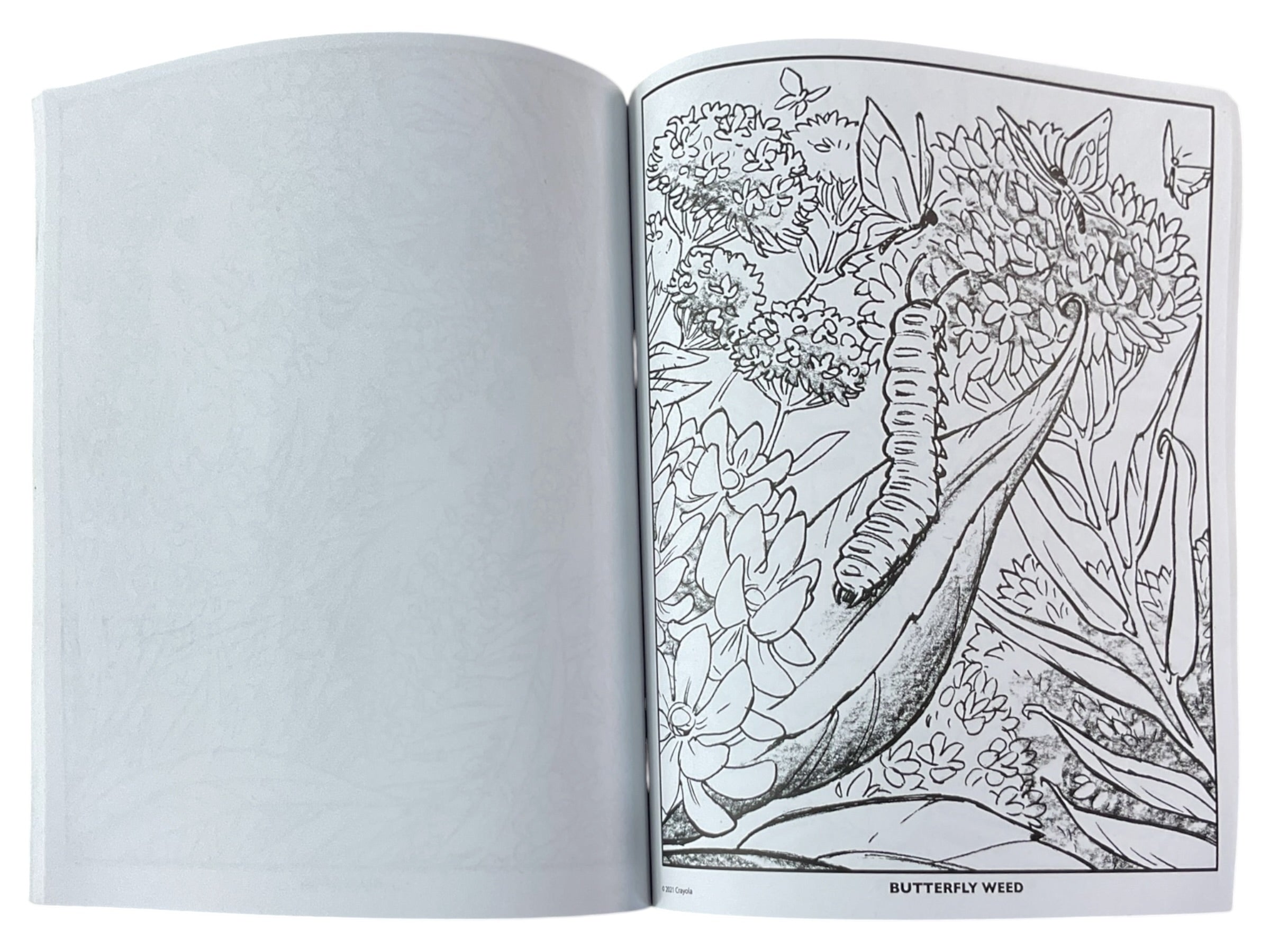 Libro para colorear (WILDFLOWERS)