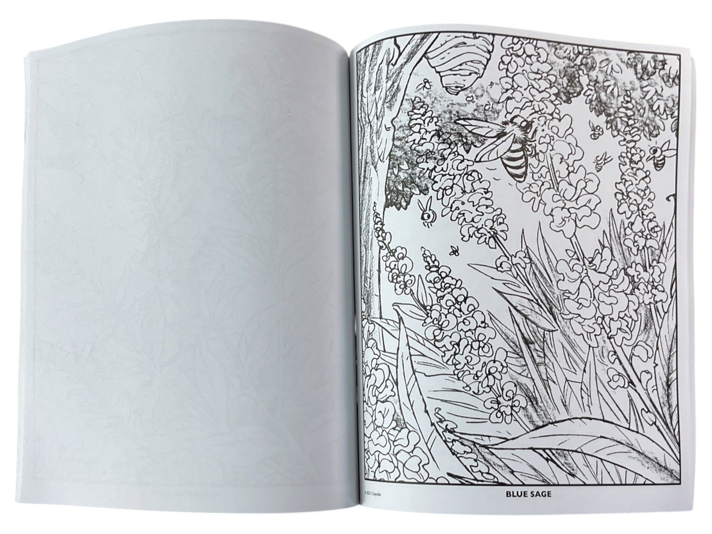 Libro para colorear (WILDFLOWERS)