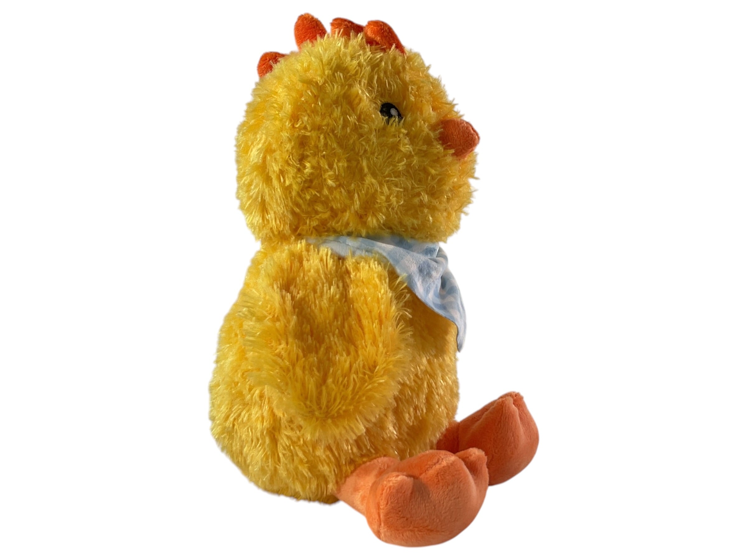 Pollito  (PETSMART)