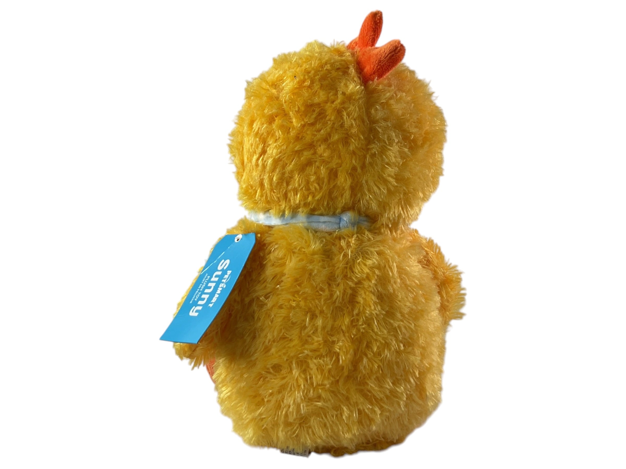 Pollito  (PETSMART)