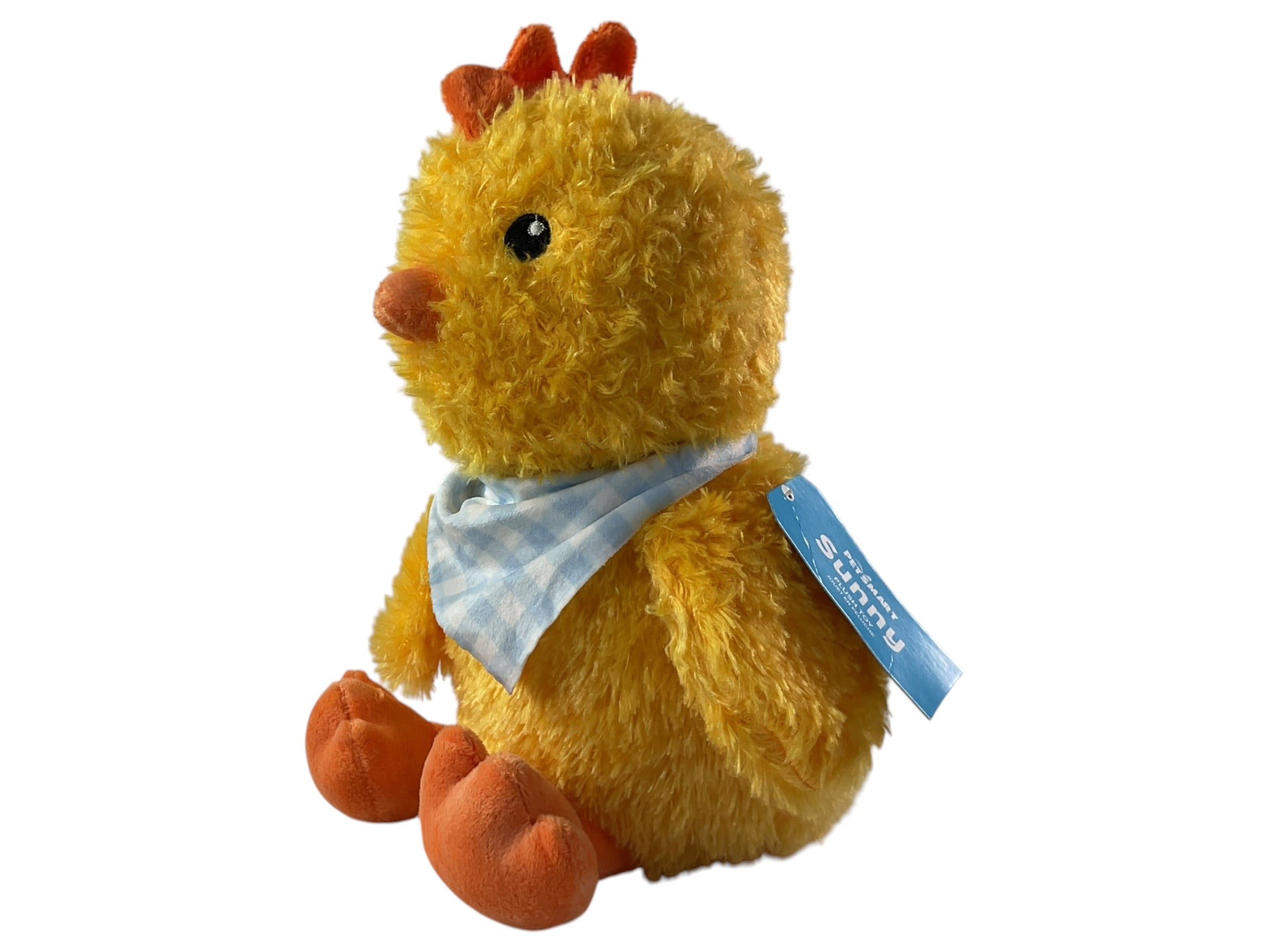 Pollito  (PETSMART)